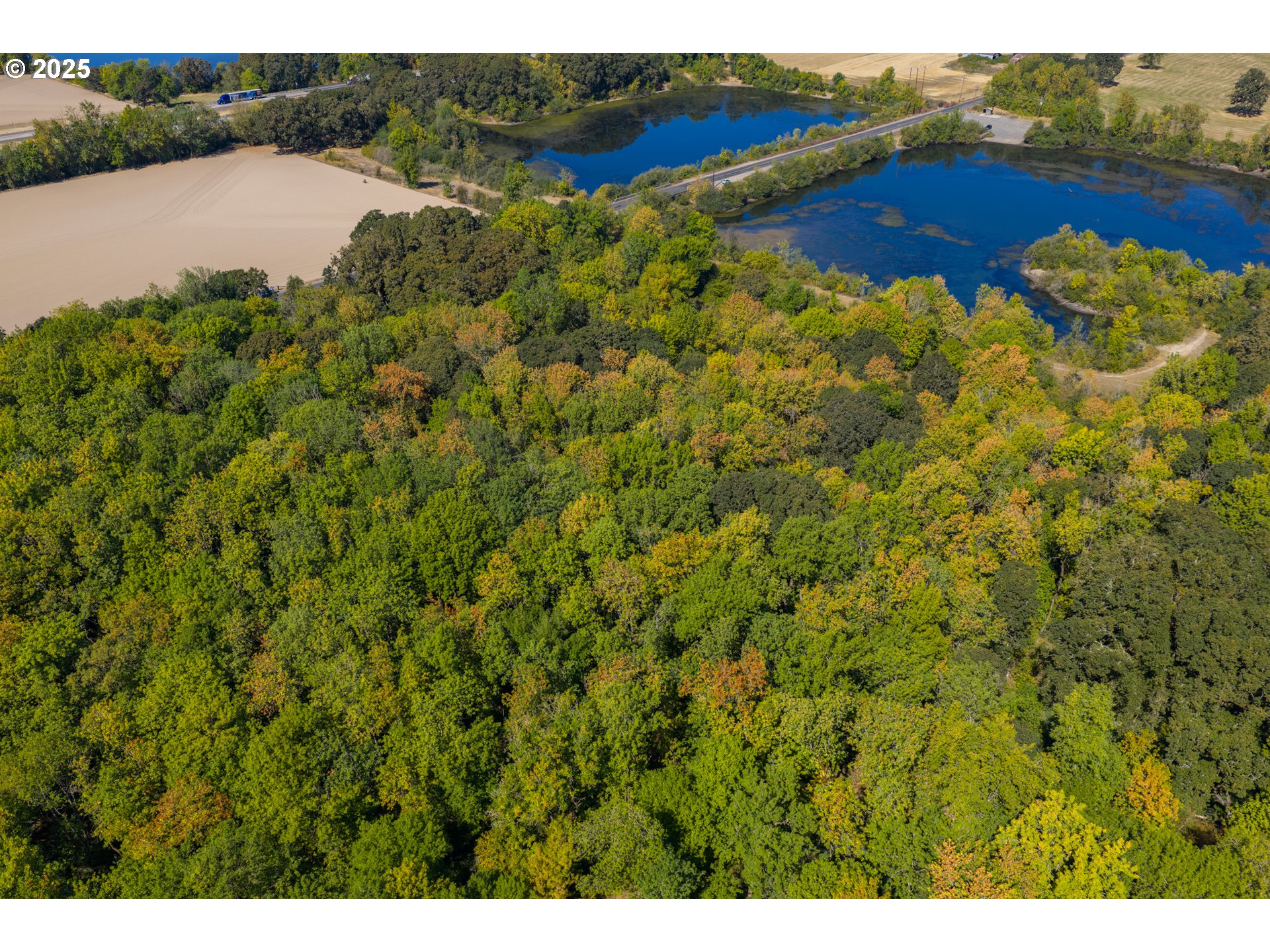 3 Lakes Road Southeast, Unit 200 Albany, OR 97322 - Photo 14 of 15 a view of a lake