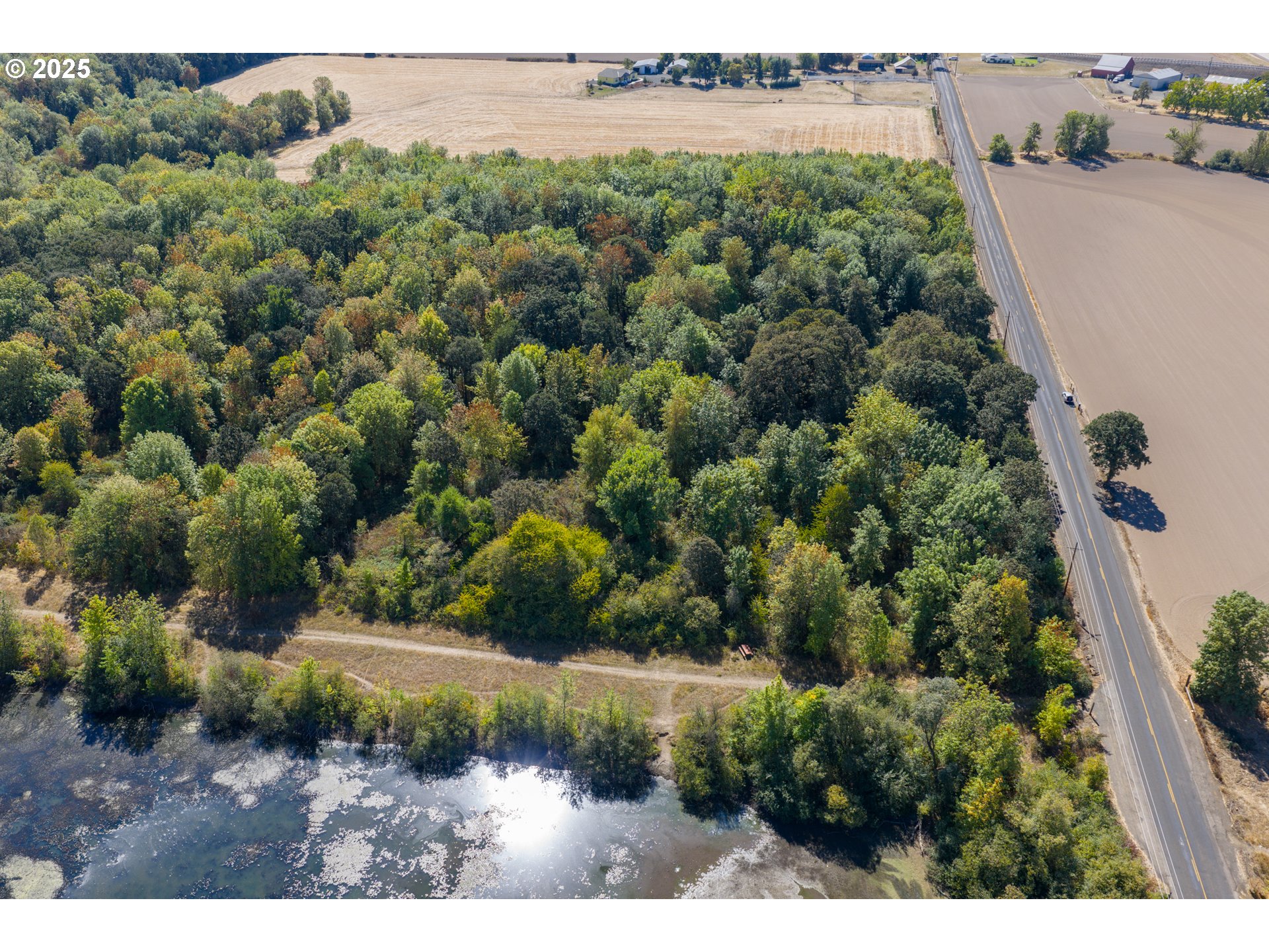 3 Lakes Road Southeast, Unit 200 Albany, OR 97322 - Photo 8 of 15 a view of a forest with a lake
