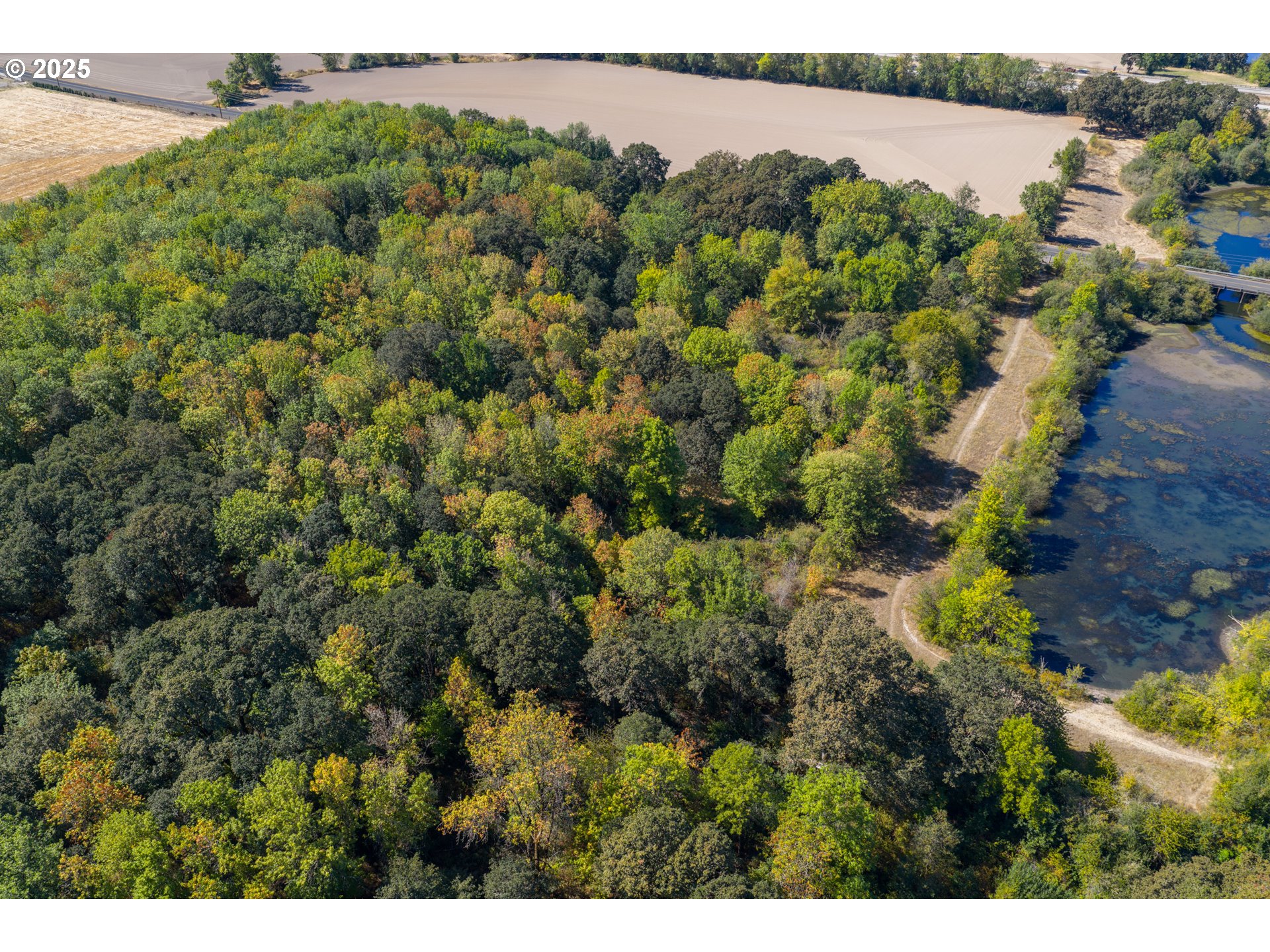 3 Lakes Road Southeast, Unit 200 Albany, OR 97322 - Photo 10 of 15 a view of a forest with a lake