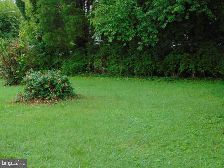 3519 Keston Road Baltimore, MD 21207 - Photo 4 of 25 Rear Yard