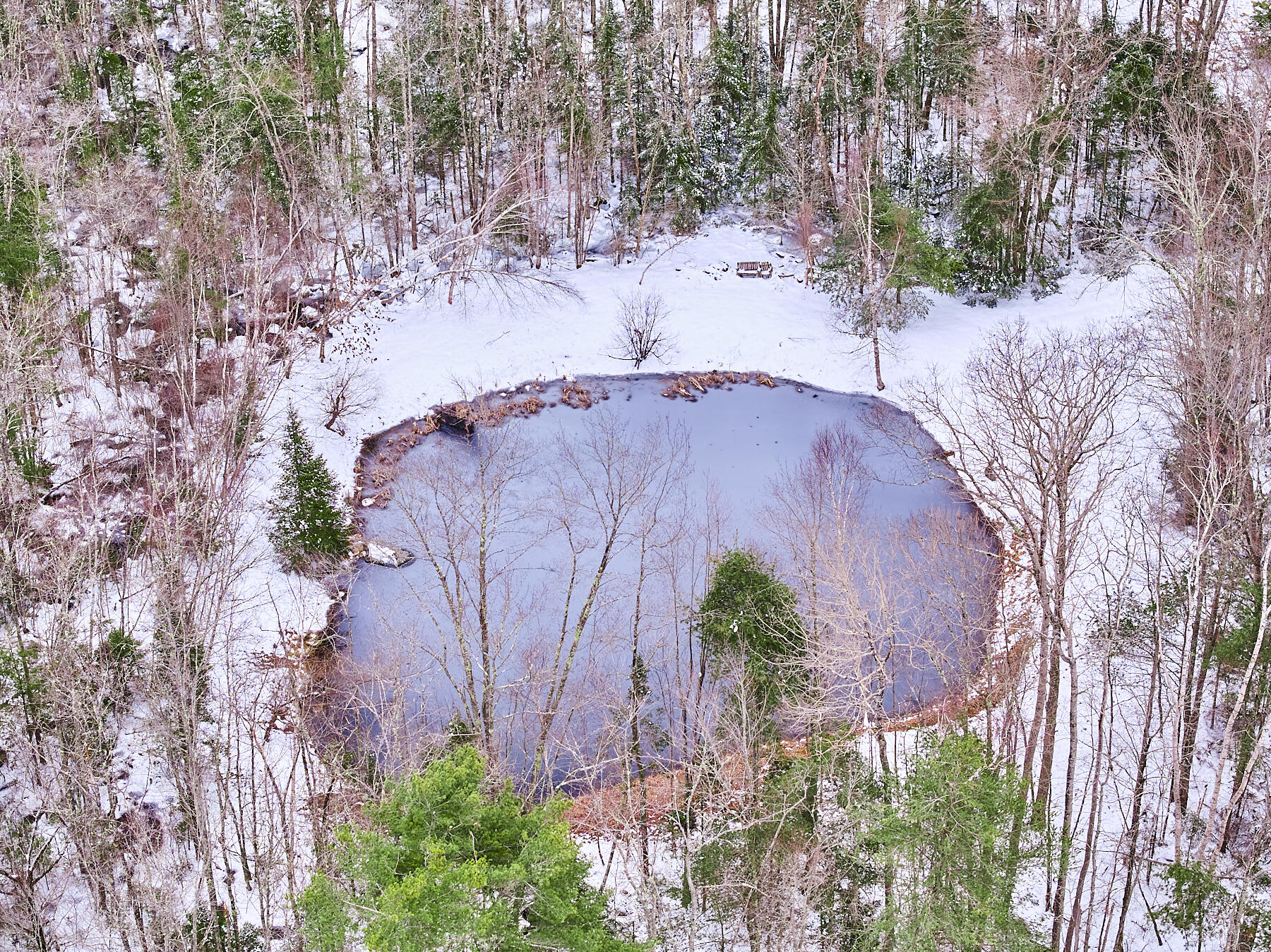2495 Washington Road Waldoboro, ME 04572 - Photo 32 of 37 Pond 3