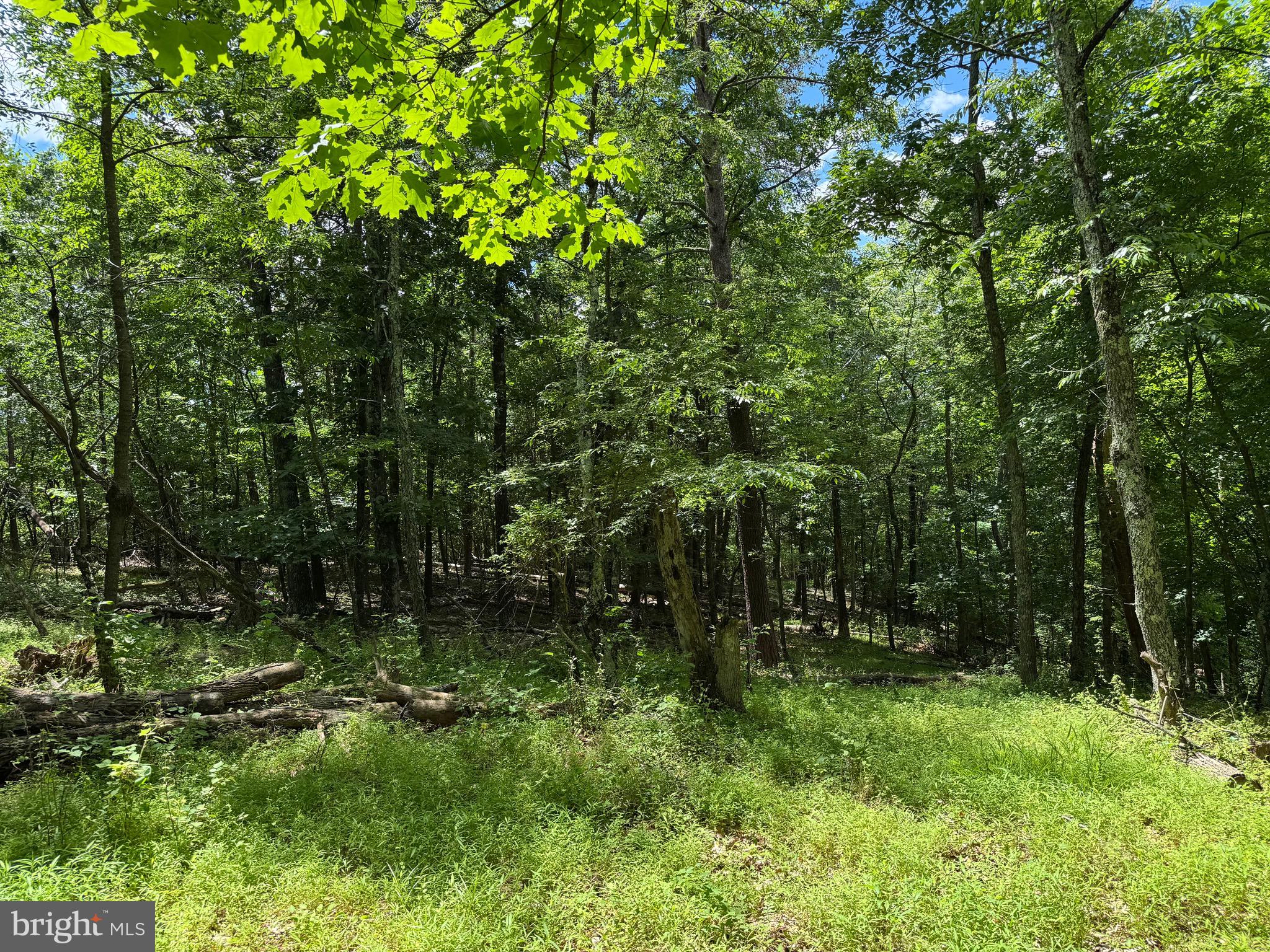 Sand Mine Road, Unit 9 Berkeley Springs, WV 25411 - Photo 15 of 17