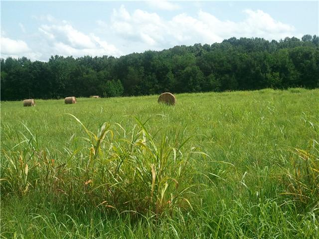 3 Harve Brown Road Bethpage, TN 37022 - Photo 1 of 1 Gallery Image 1