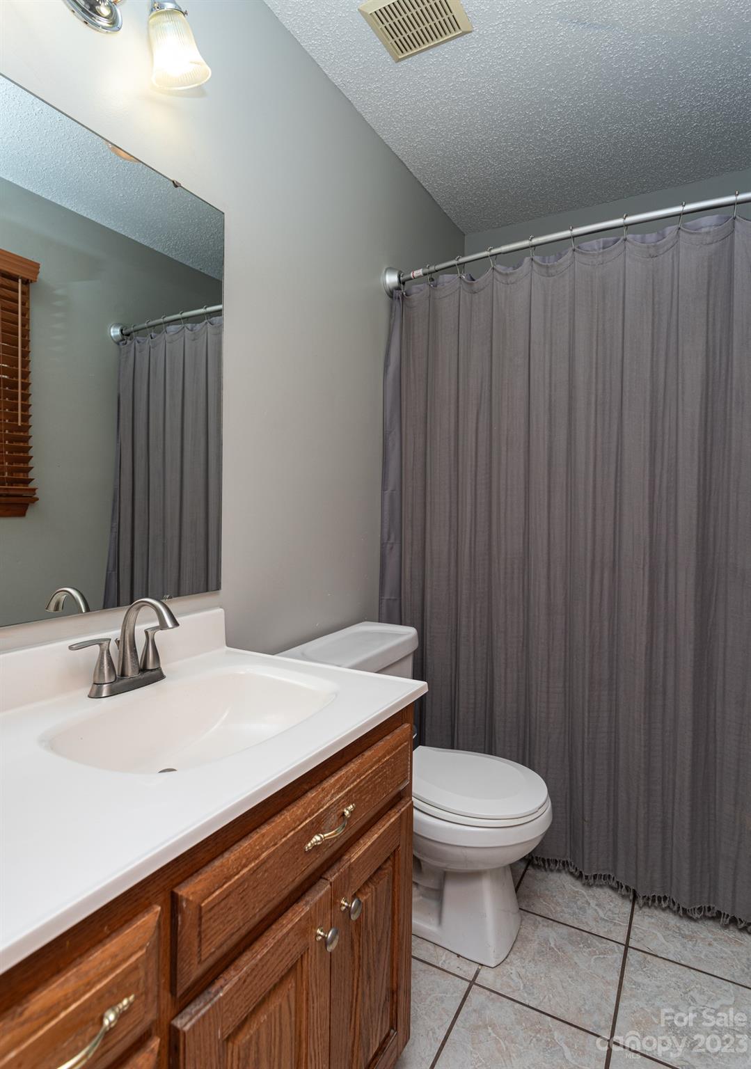920 Bethel Church Road Lincolnton, NC 28092 - Photo 15 of 27 a bathroom with a sink a toilet and shower