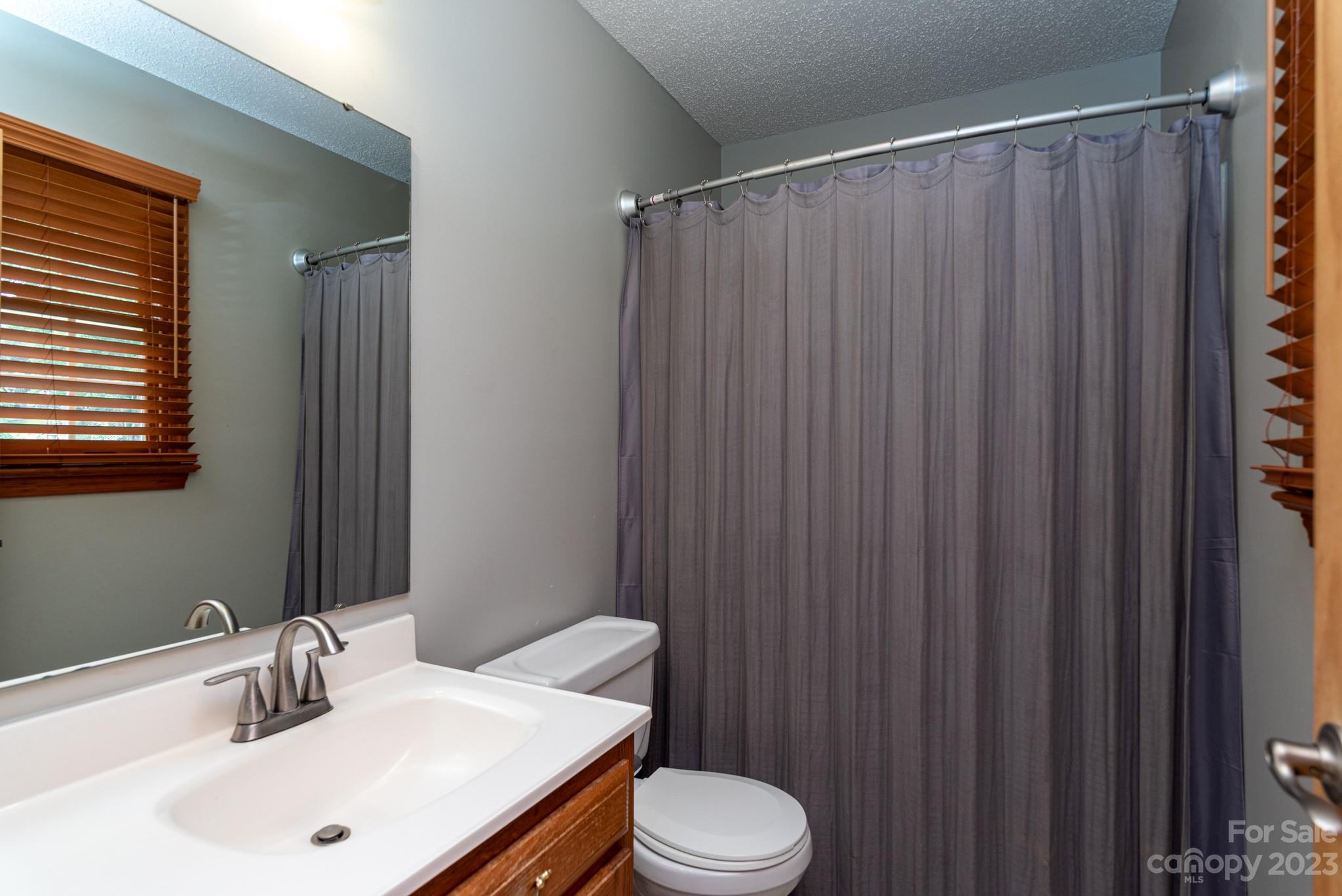 920 Bethel Church Road Lincolnton, NC 28092 - Photo 16 of 27 a bathroom with a sink a toilet and shower curtain