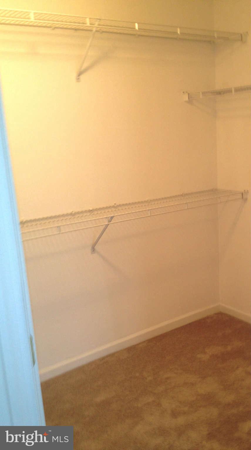 2444 Blue Spring Court, Unit 201 Odenton, MD 21113 - Photo 19 of 27 Interior (General)