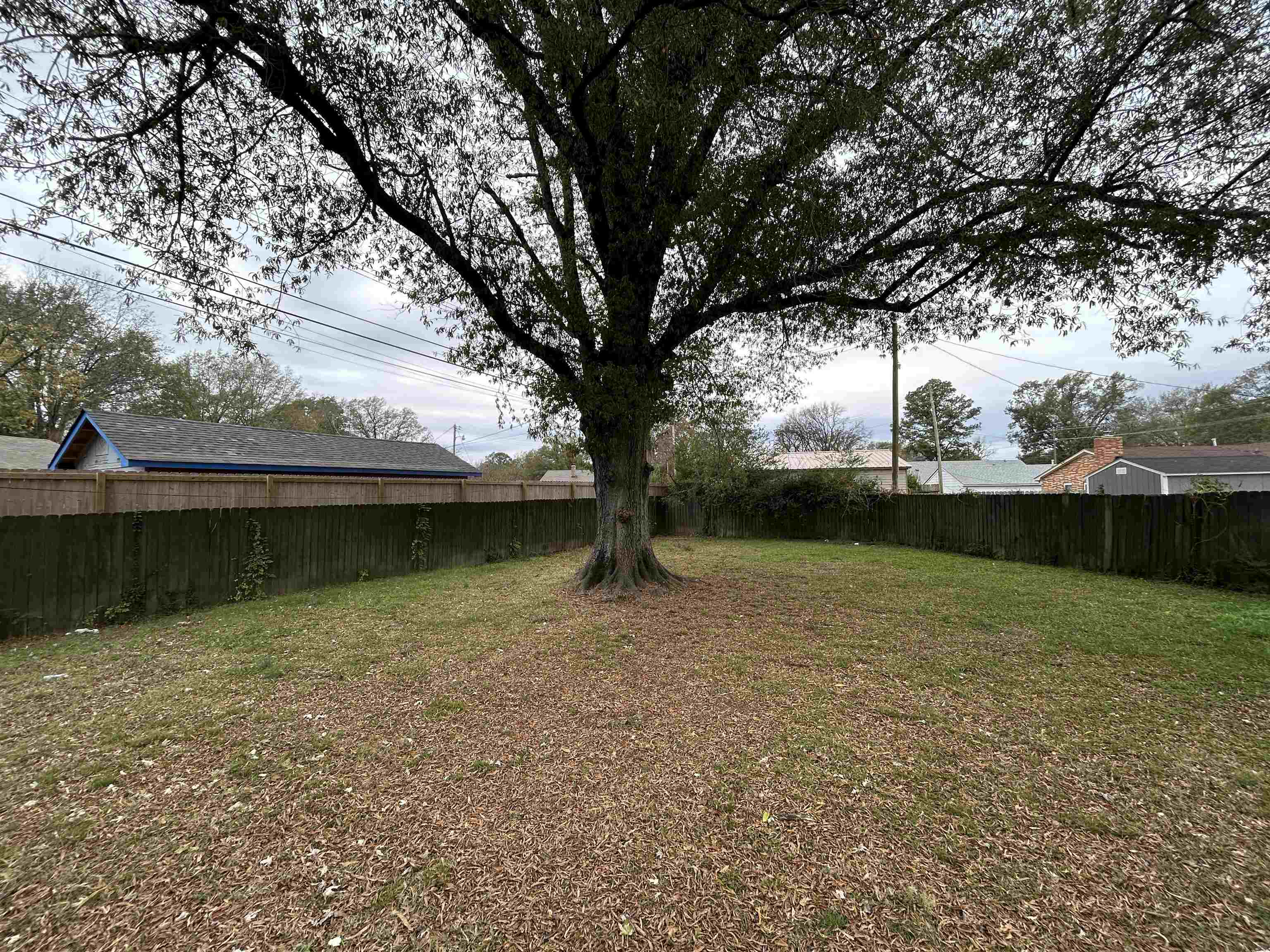 1809 Cherry Road Memphis, TN 38111 - Photo 14 of 16 a view of a yard