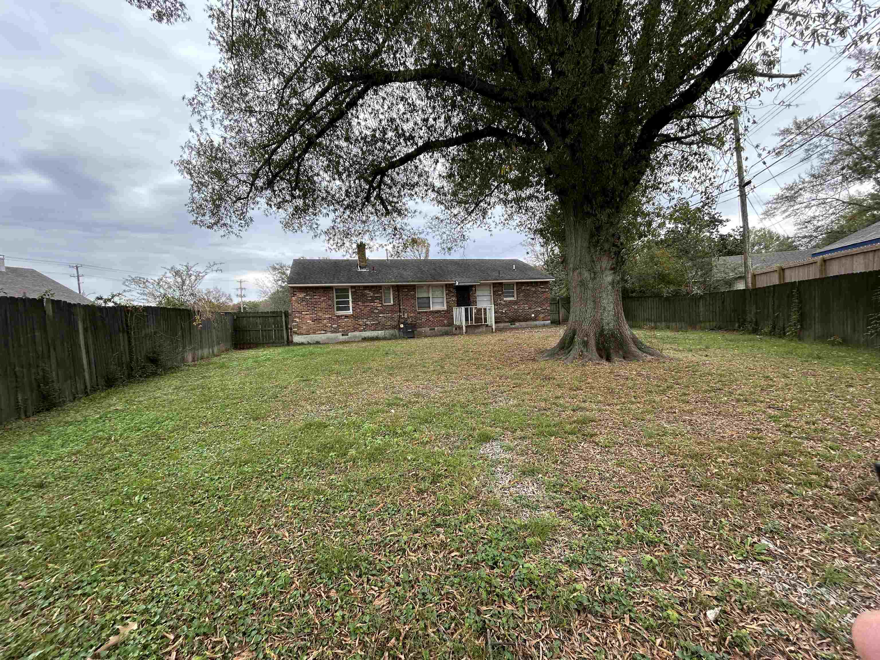 1809 Cherry Road Memphis, TN 38111 - Photo 15 of 16 a view of a house with garden and a tree