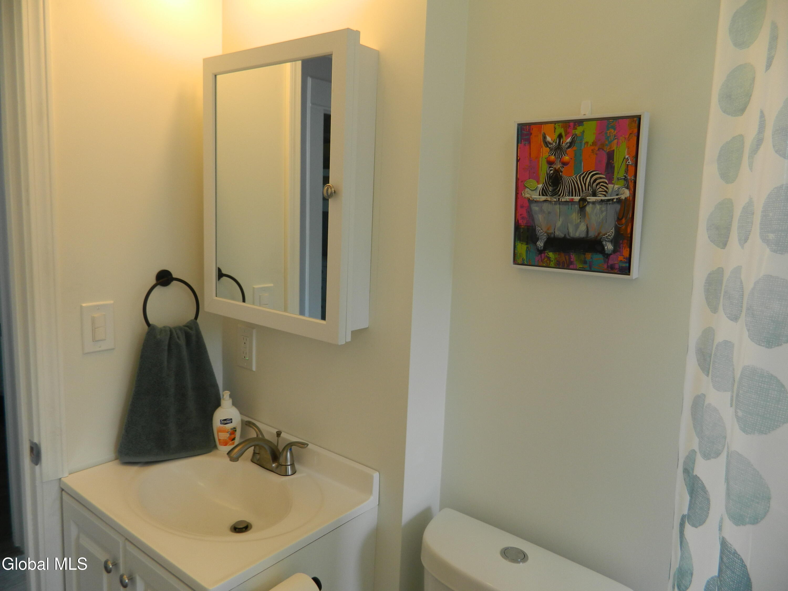 1355 Dewitt Street Schenectady, NY 12303 - Photo 72 of 88 NEW VANITY + TOILET