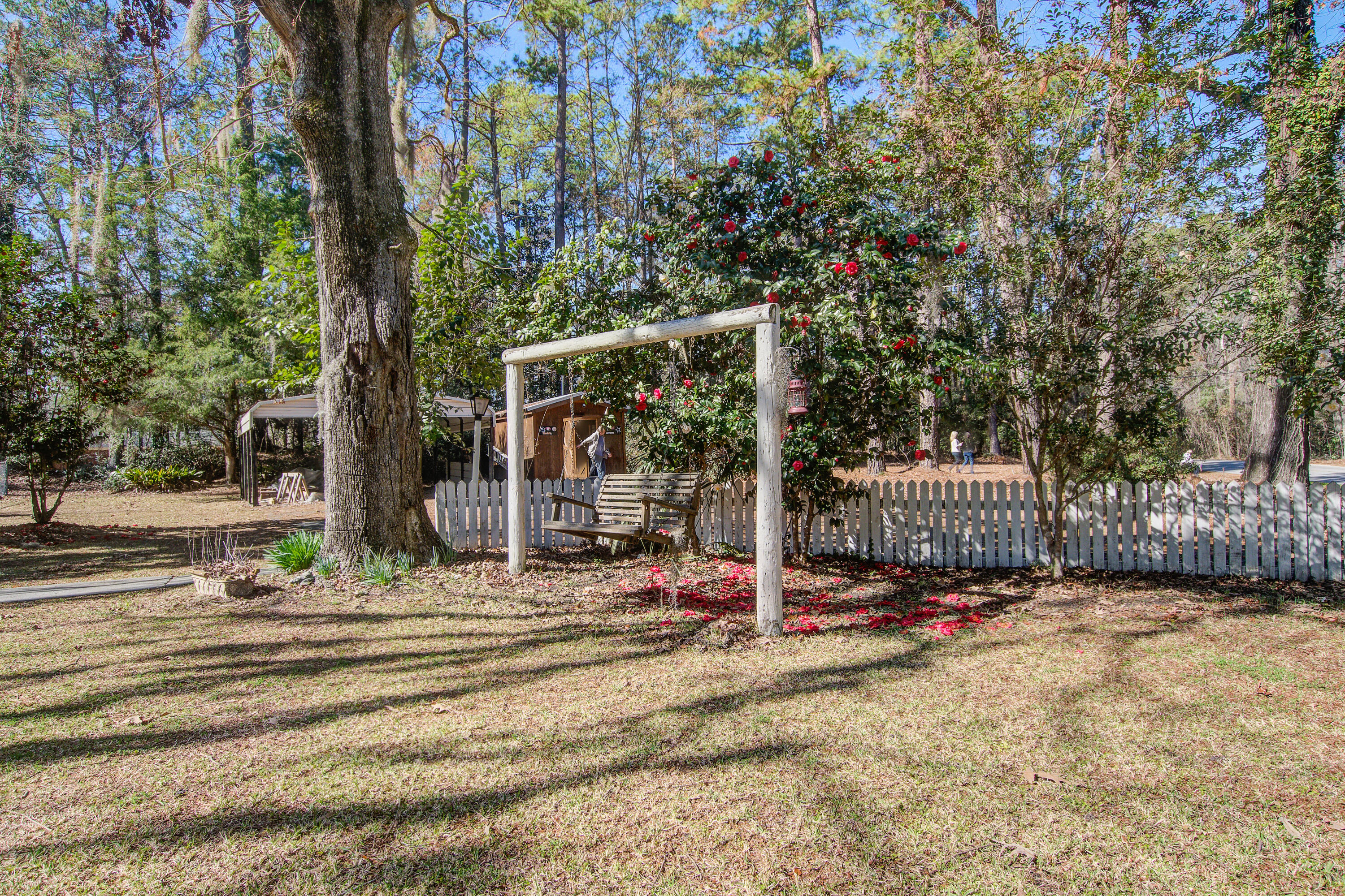 425 Ravenwood Road Walterboro, SC 29488 - Photo 36 of 49 Gorgeous Camellias