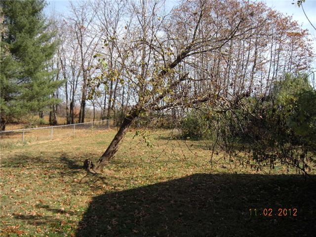 887 Lennox Road Clarksville, TN 37042 - Photo 4 of 11 Back Yard