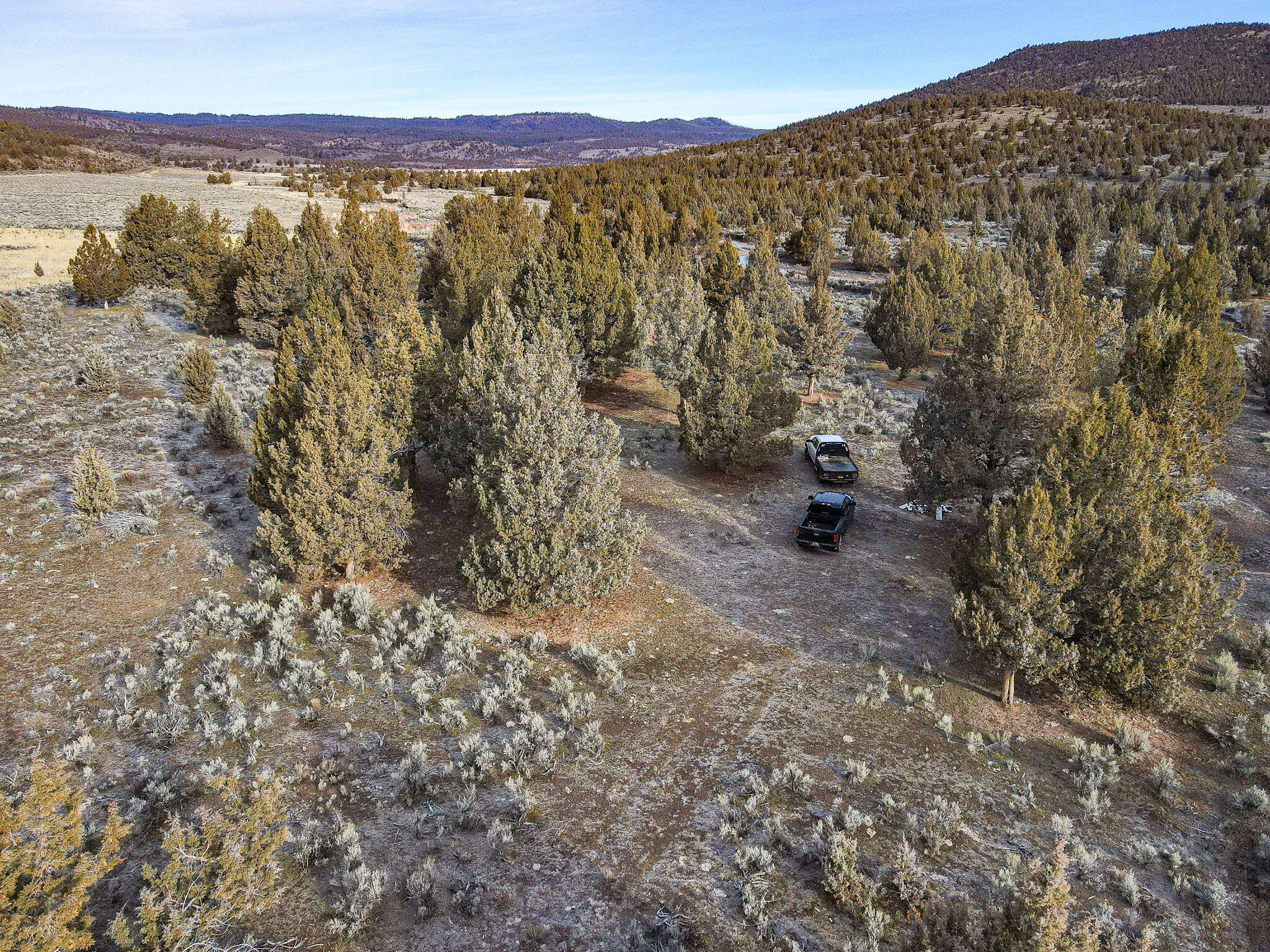 Camp Creek Road, Unit TL 3400 Prineville, OR 97754 - Photo 14 of 27 a view of a forest with mountains in the background