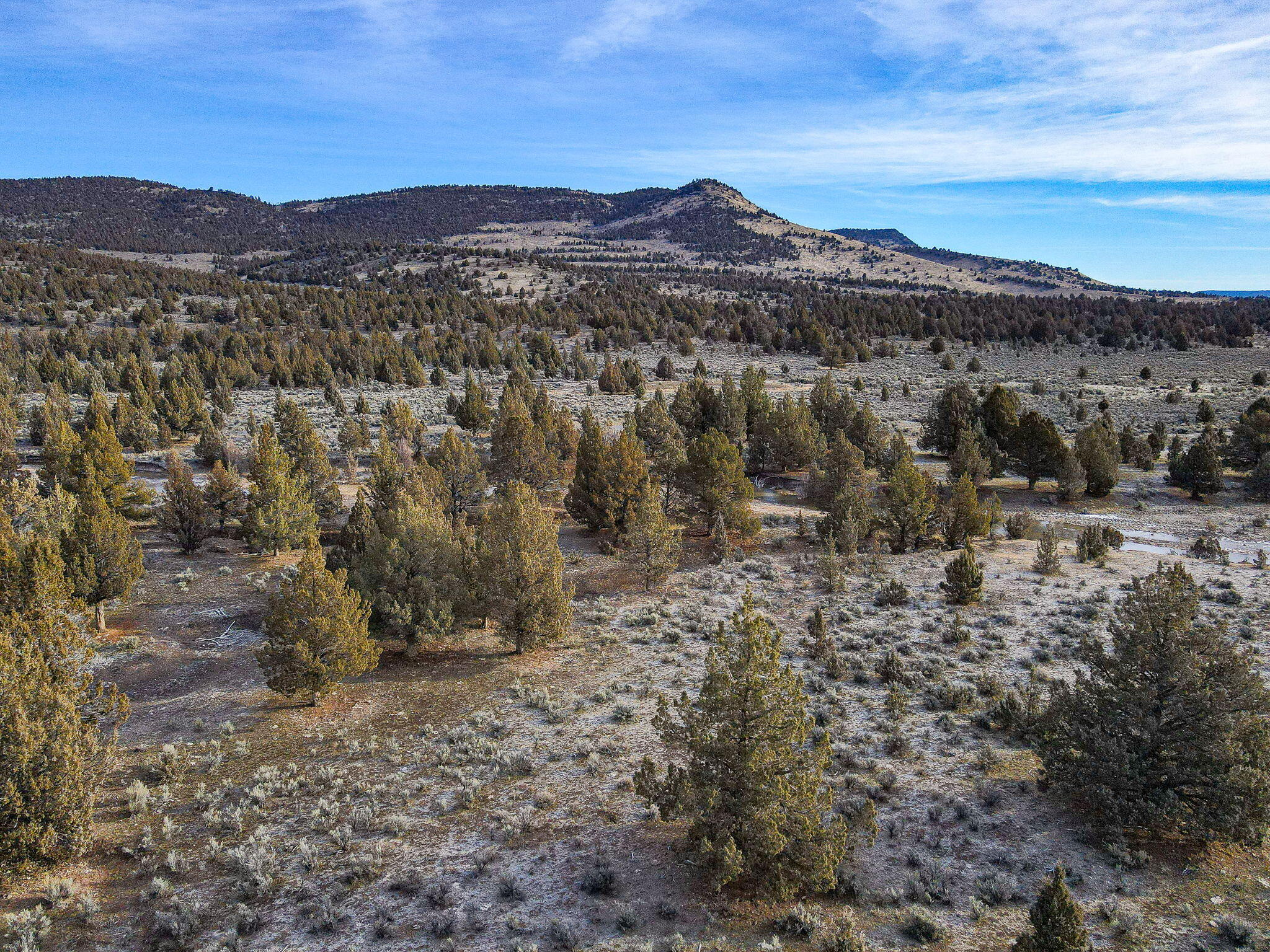 Camp Creek Road, Unit TL 3400 Prineville, OR 97754 - Photo 15 of 27 a view of a town with mountains in the background