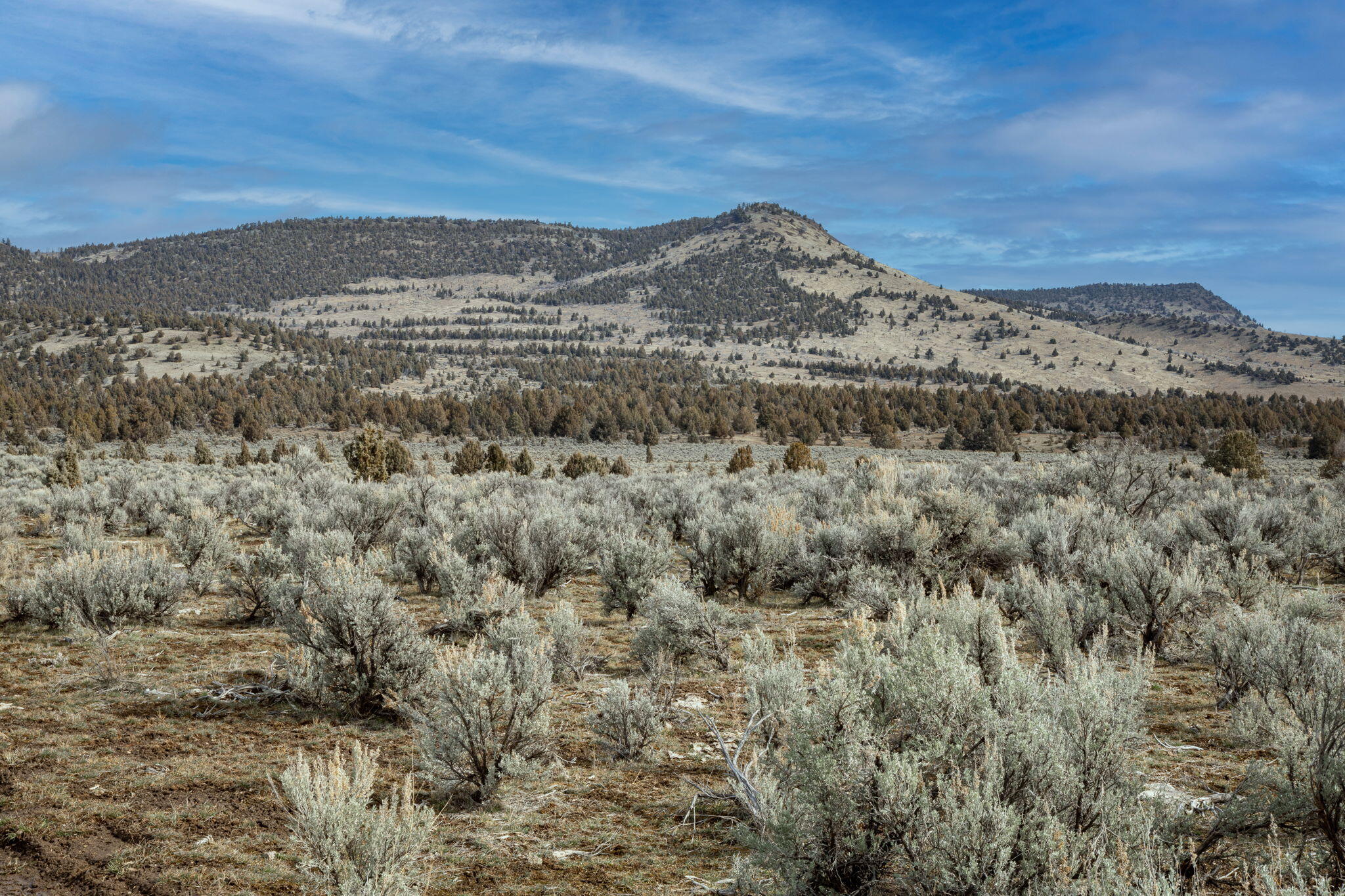 Camp Creek Road, Unit TL 3400 Prineville, OR 97754 - Photo 17 of 27 a view of mountain