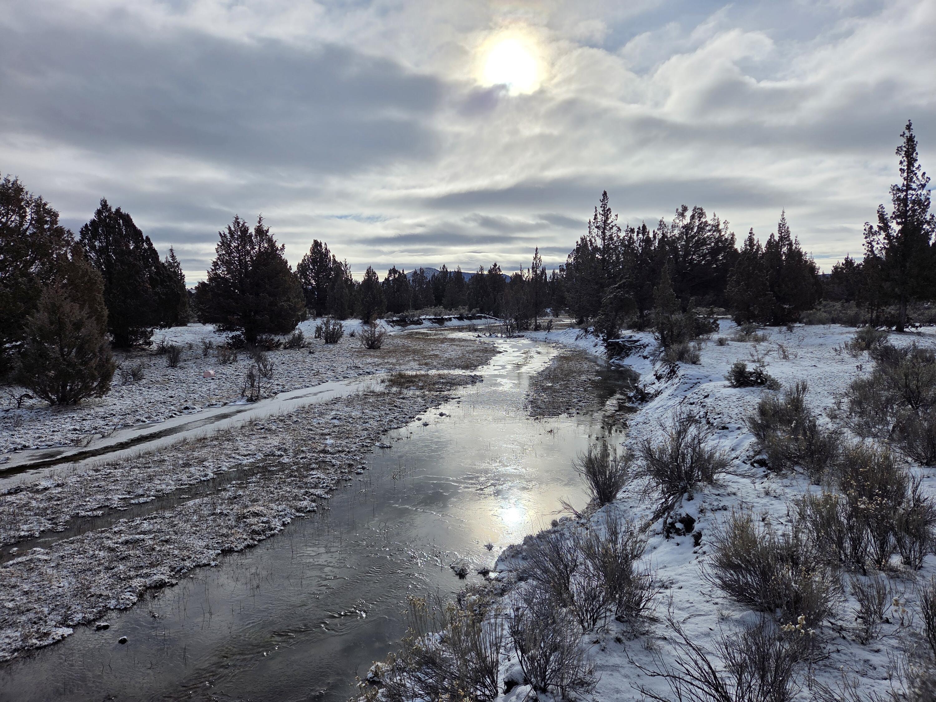 Camp Creek Road, Unit TL 3400 Prineville, OR 97754 - Photo 26 of 27 a view of a dry yard with lots of trees