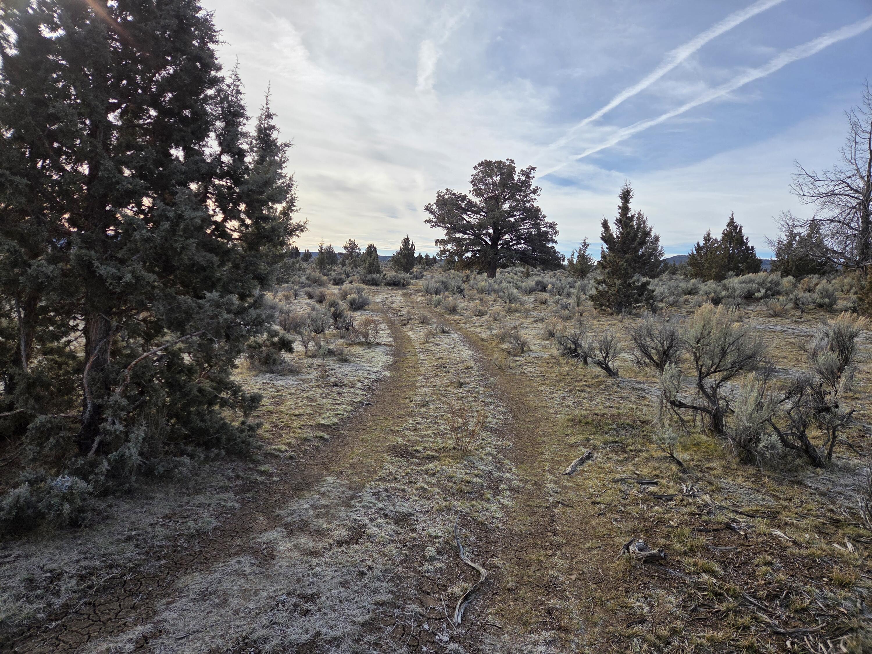 Camp Creek Road, Unit TL 3400 Prineville, OR 97754 - Photo 3 of 27 a view of a dry yard with trees