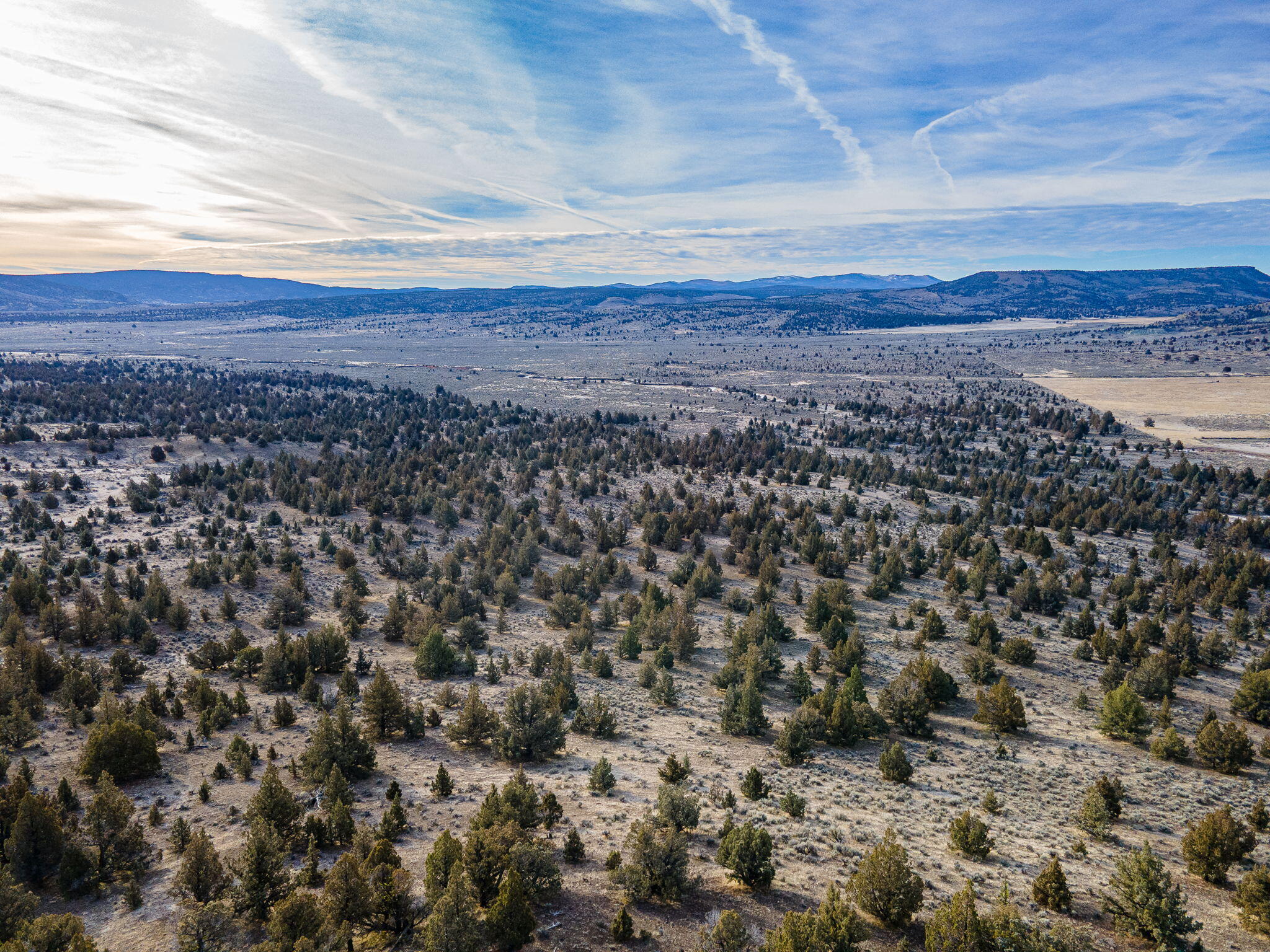 Camp Creek Road, Unit TL 3400 Prineville, OR 97754 - Photo 6 of 27 a view of a large yard with lots of trees