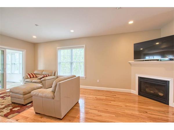 36 Indian Ridge Terrace, Unit 36 Westford, MA 01886 - Photo 6 of 23 a living room with furniture and a fireplace