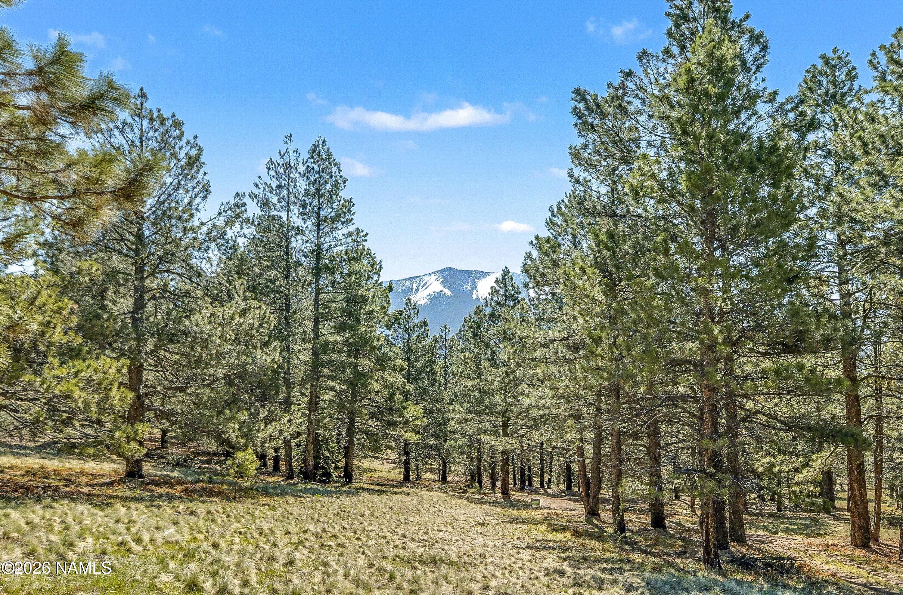 15820 Forest Service 9008s Road Flagstaff, AZ 86001 - Photo 24 of 41 15820-forest-service-road-9008s-flagstaf