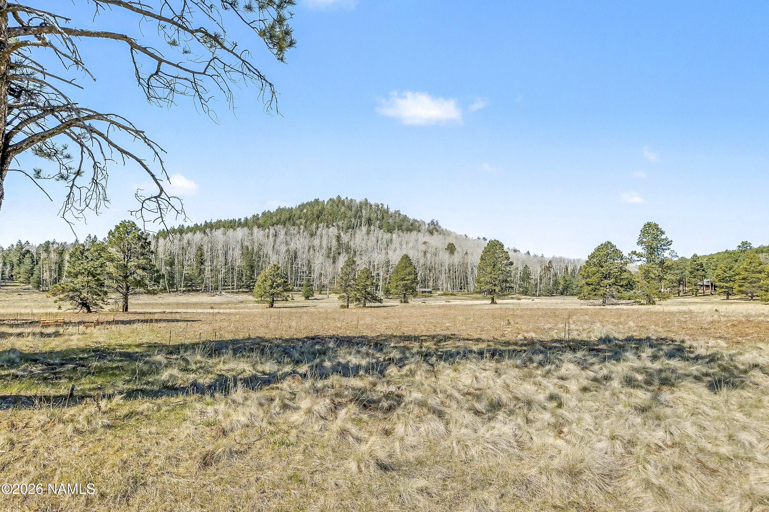 15820 Forest Service 9008s Road Flagstaff, AZ 86001 - Photo 35 of 41 15820-forest-service-road-9008s-flagstaf