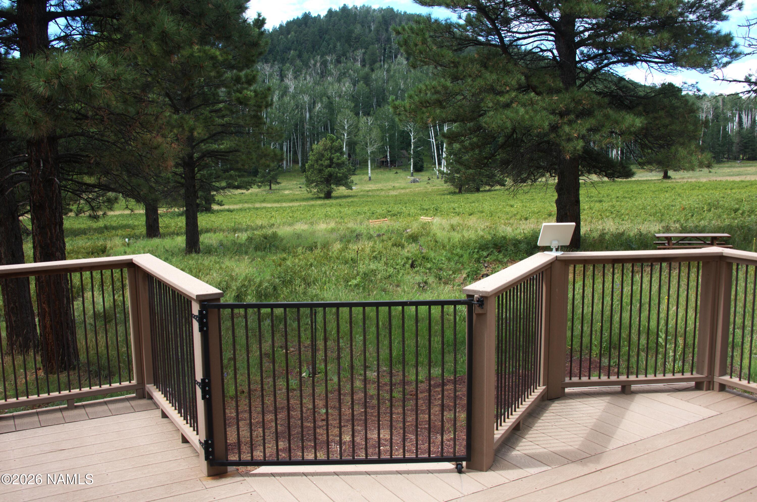 15820 Forest Service 9008s Road Flagstaff, AZ 86001 - Photo 4 of 41 _DSC3442.jpg3