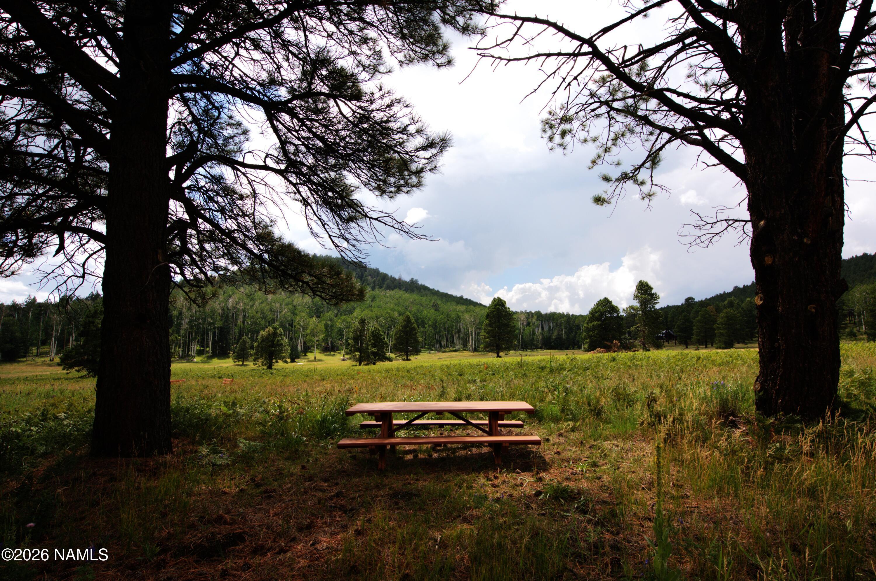 15820 Forest Service 9008s Road Flagstaff, AZ 86001 - Photo 5 of 41 _DSC3542.jpg4