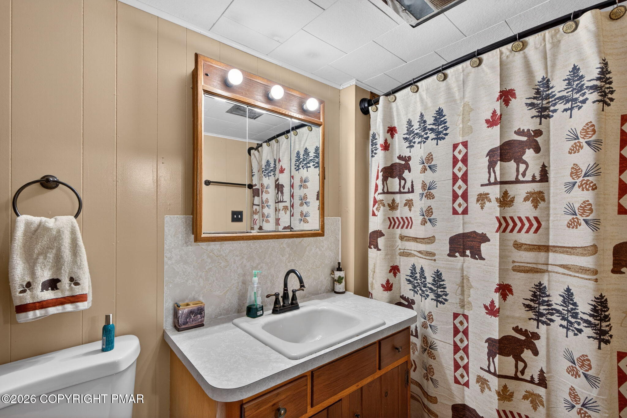 448 Criddle Road Susquehanna, PA 18847 - Photo 42 of 55 a bathroom with a sink toilet and shower