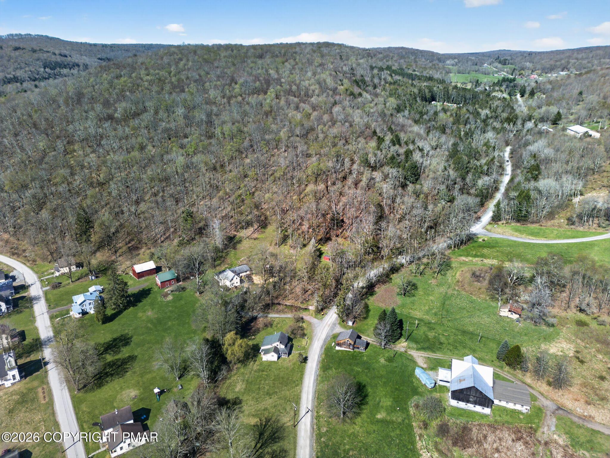 448 Criddle Road Susquehanna, PA 18847 - Photo 48 of 55 a view of a lush green forest with lots of trees