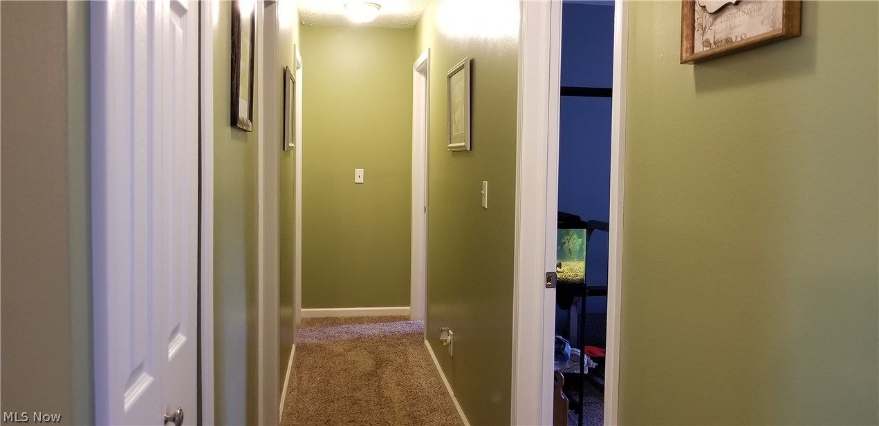 1415 Forman Road Austinburg, OH 44010 - Photo 13 of 27 Gallery Image 13