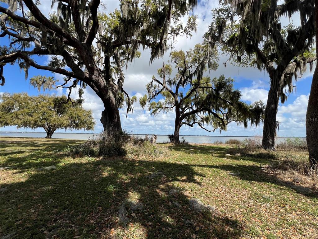 0 Apiary Road Grand Island, FL 32735 - Photo 17 of 22 Gallery Image 17