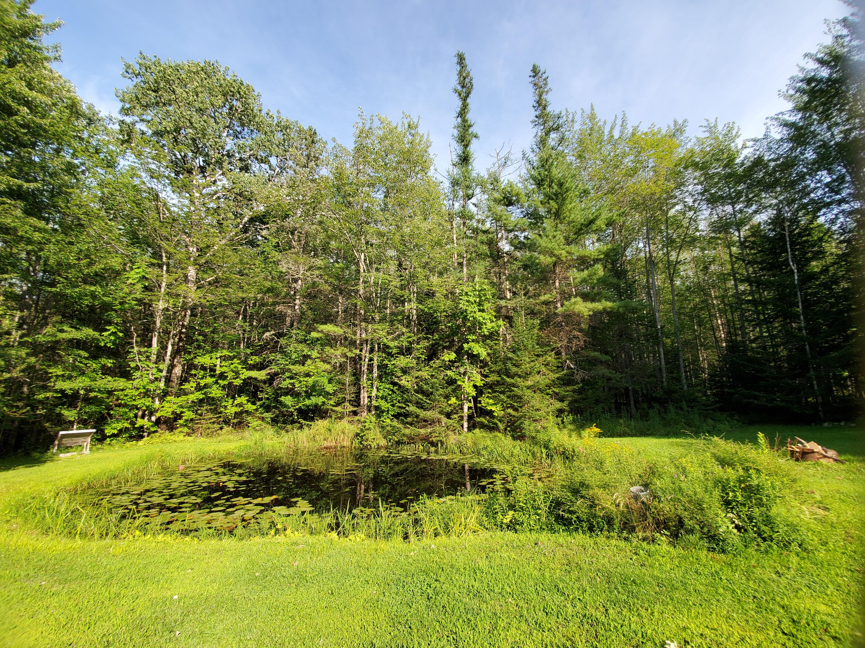 726 Johnson Mill Road Orrington, ME 04474 - Photo 32 of 40 20200807_170455