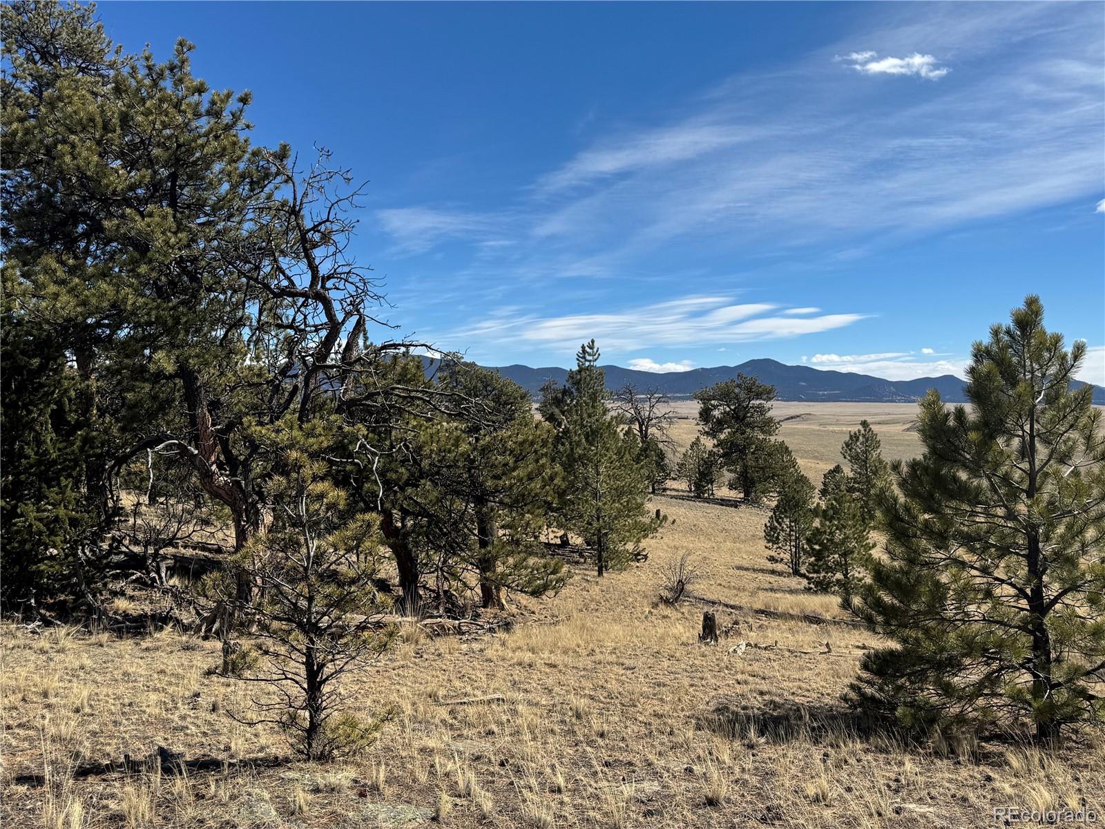 62 Powder Way Como, CO 80432 - Photo 3 of 7