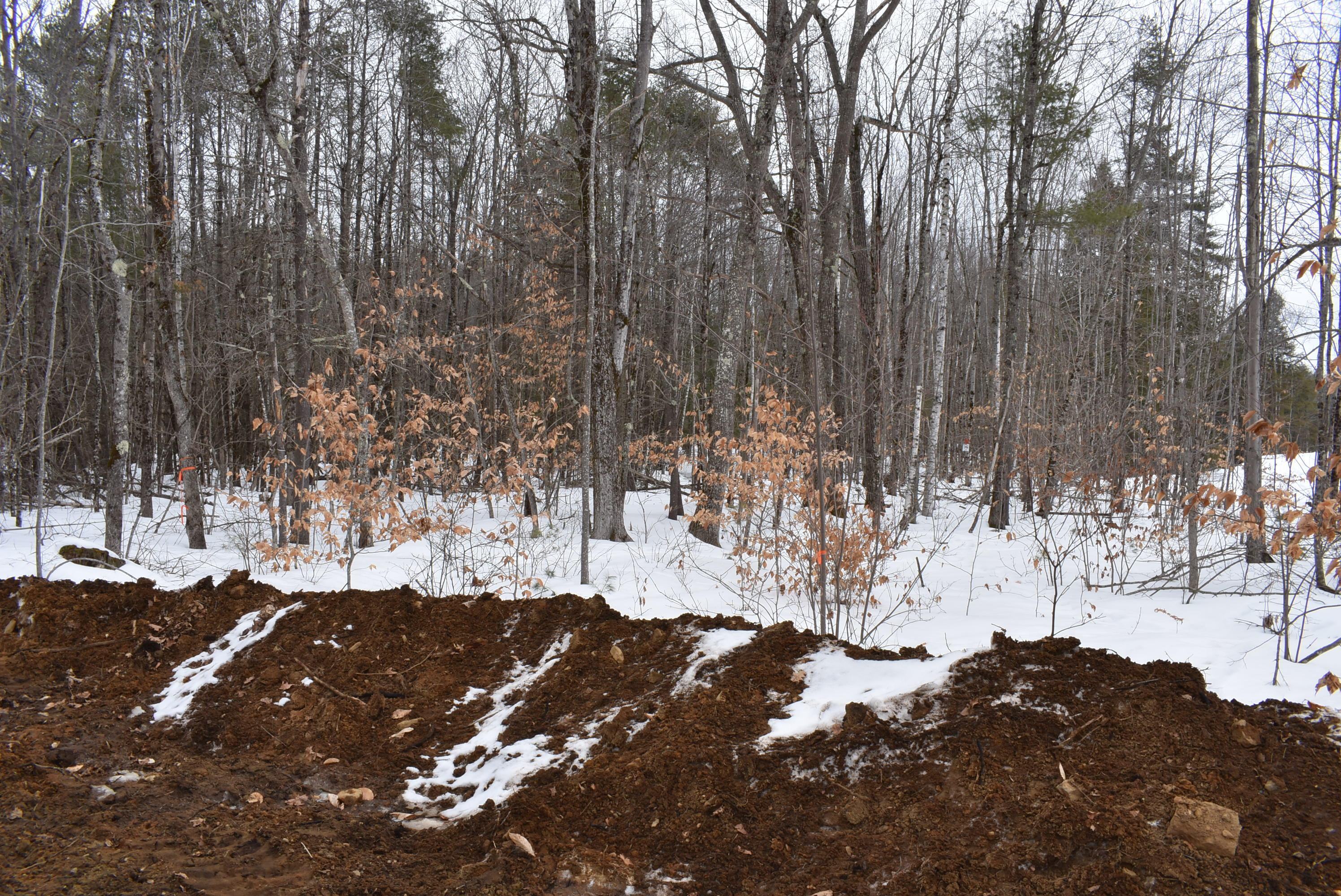 24 Eastern Lane Standish, ME 04084 - Photo 9 of 40 Lower side of Lot