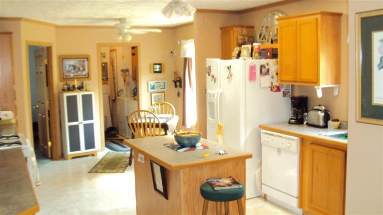 22802 Junction Road Bellevue, MI 49021 - Photo 5 of 6 Additional Photo