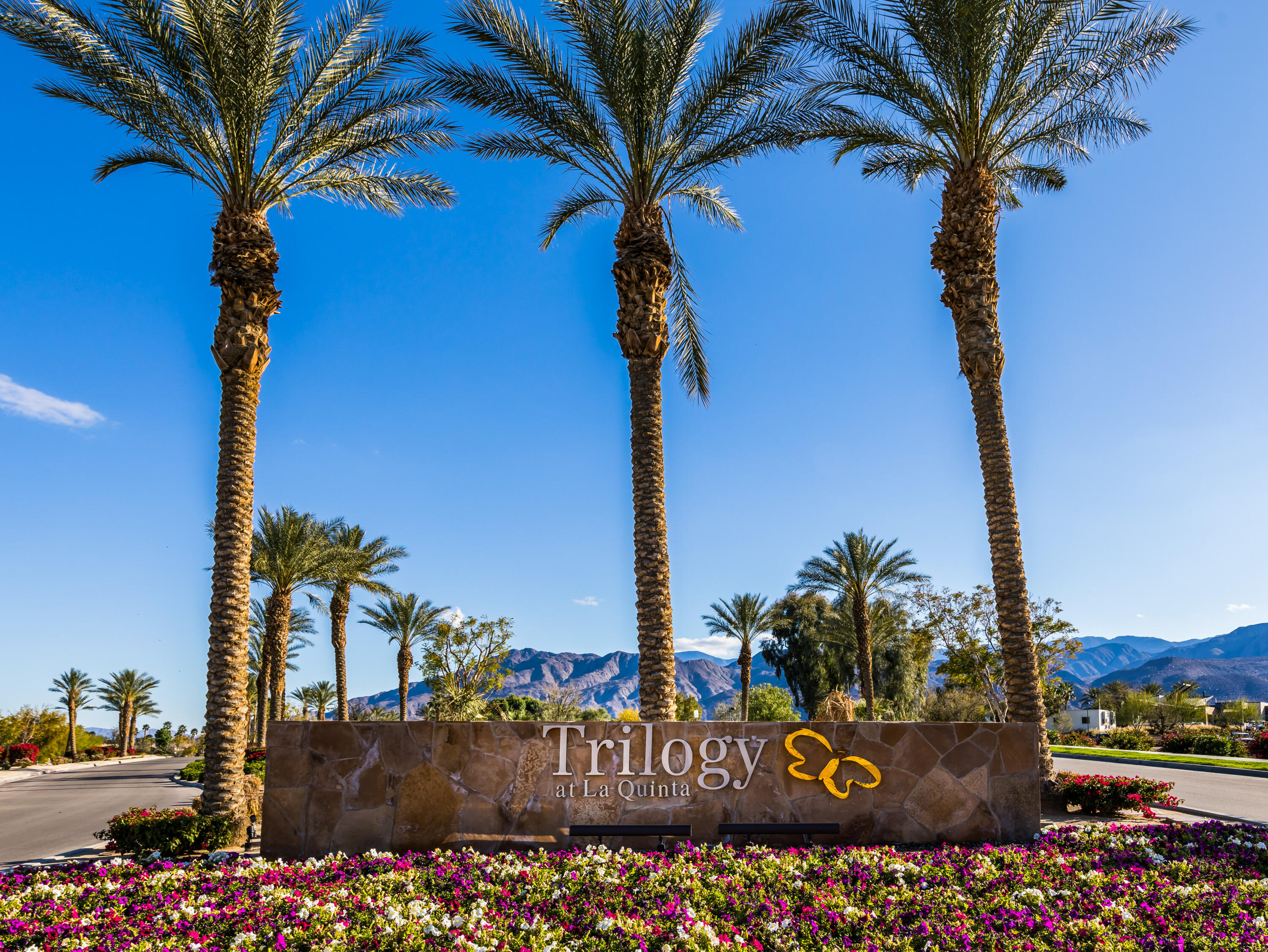 61232 Cactus Spring Drive La Quinta, CA 92253 - Photo 2 of 43 a view of a street with a tree