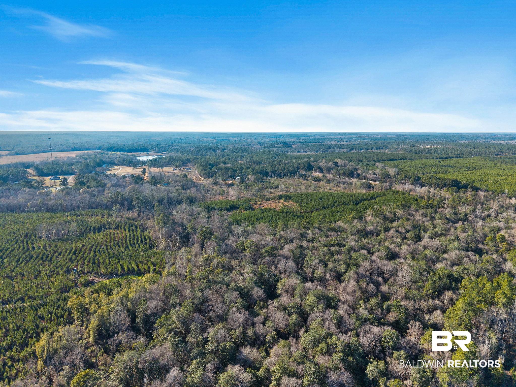 55750 Lottie Road Perdido, AL 36562 - Photo 4 of 84 Aerial view of property and surrounding area featuring a heavily wooded area