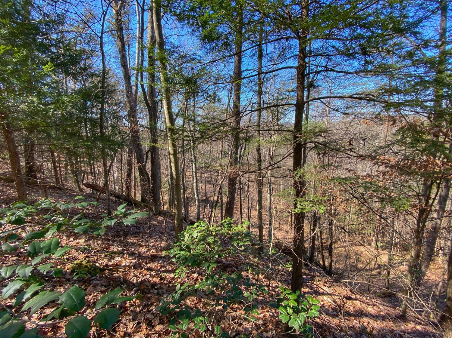 1 Sandy Ridge Road Campton, KY 41301 - Photo 25 of 33 Photo 25