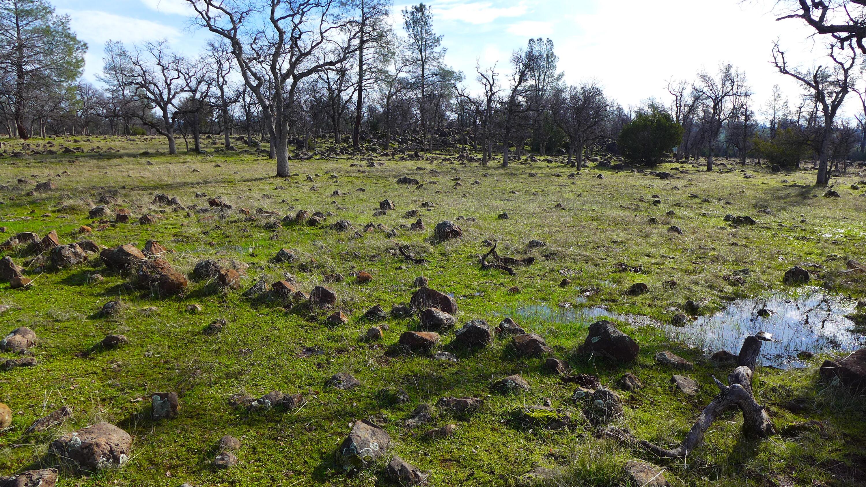 0 Ash Creek Road Anderson, CA 96007 - Photo 1 of 25 a view of a field