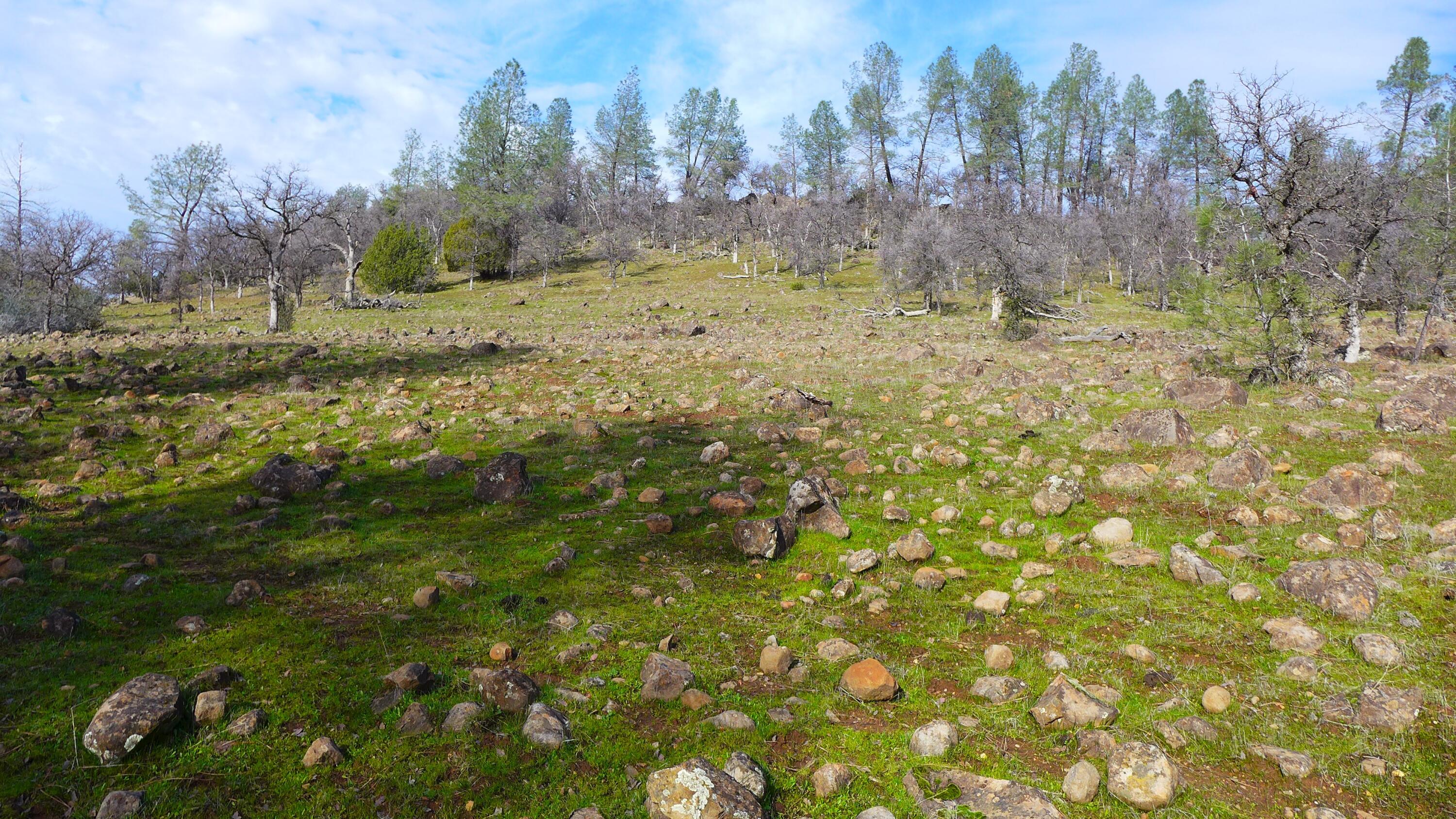 0 Ash Creek Road Anderson, CA 96007 - Photo 12 of 25 a view of a yard with trees