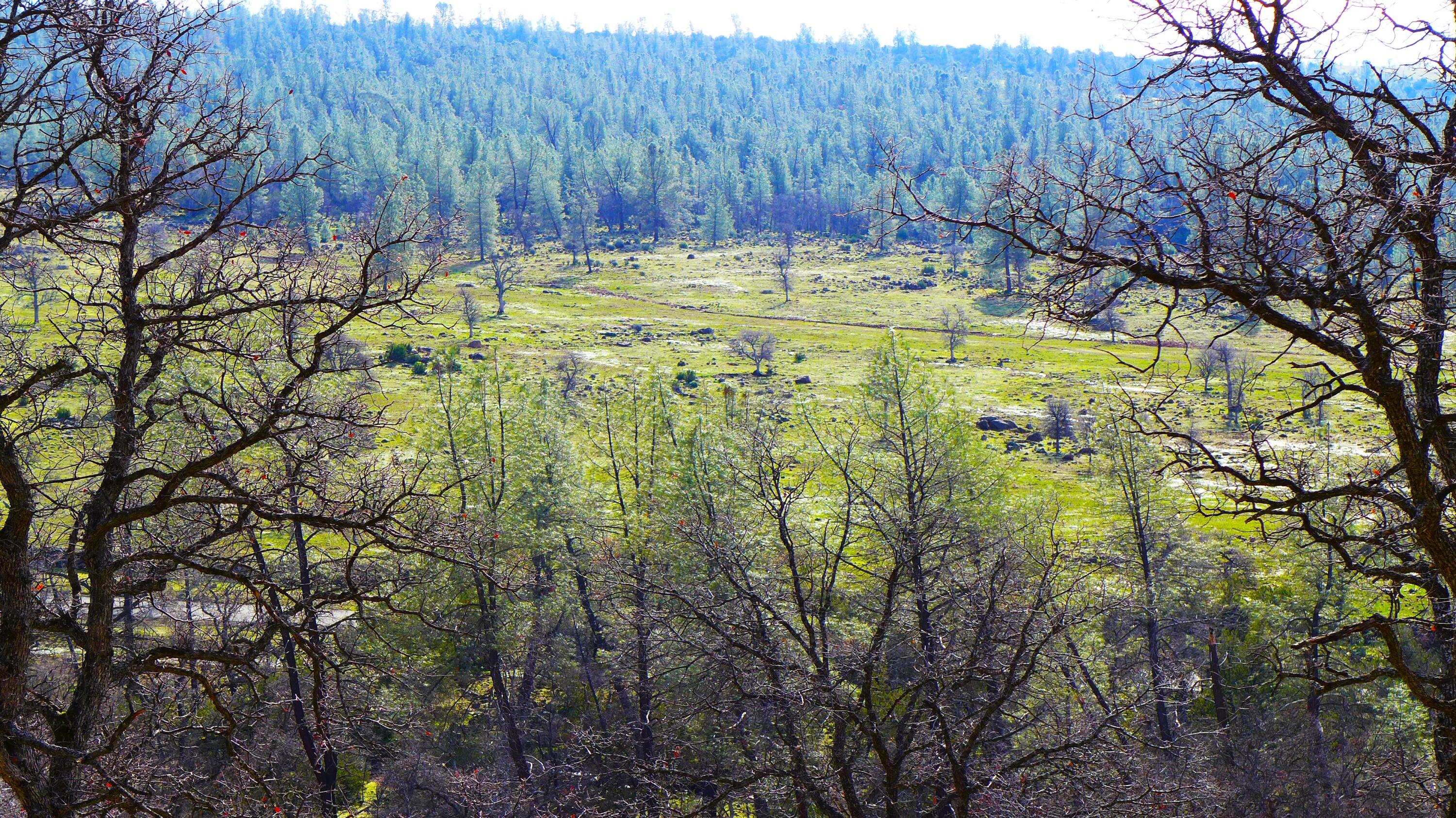 0 Ash Creek Road Anderson, CA 96007 - Photo 14 of 25 a view of swimming pool and tree