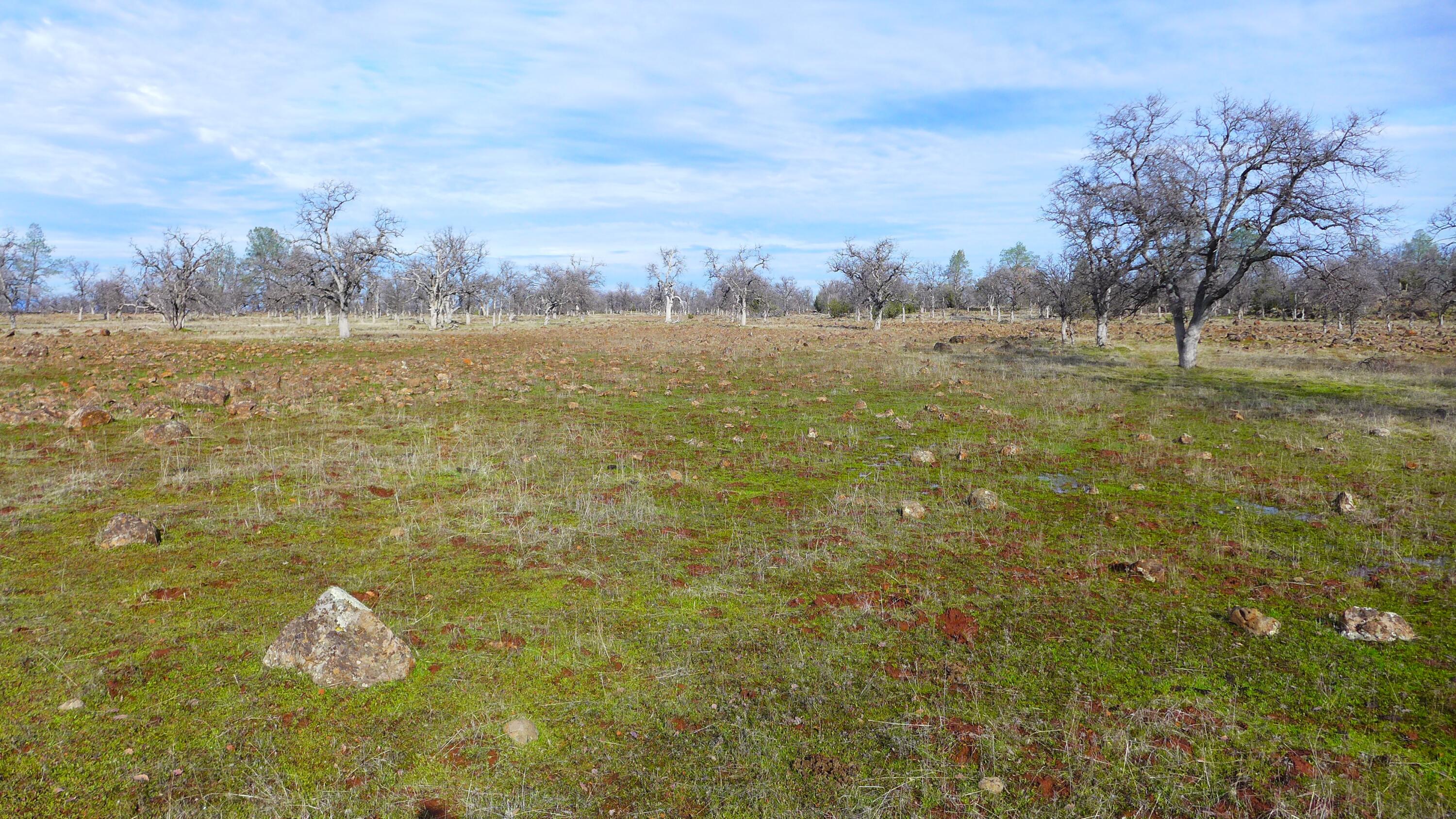 0 Ash Creek Road Anderson, CA 96007 - Photo 16 of 25 a yard with swimming pool and green space