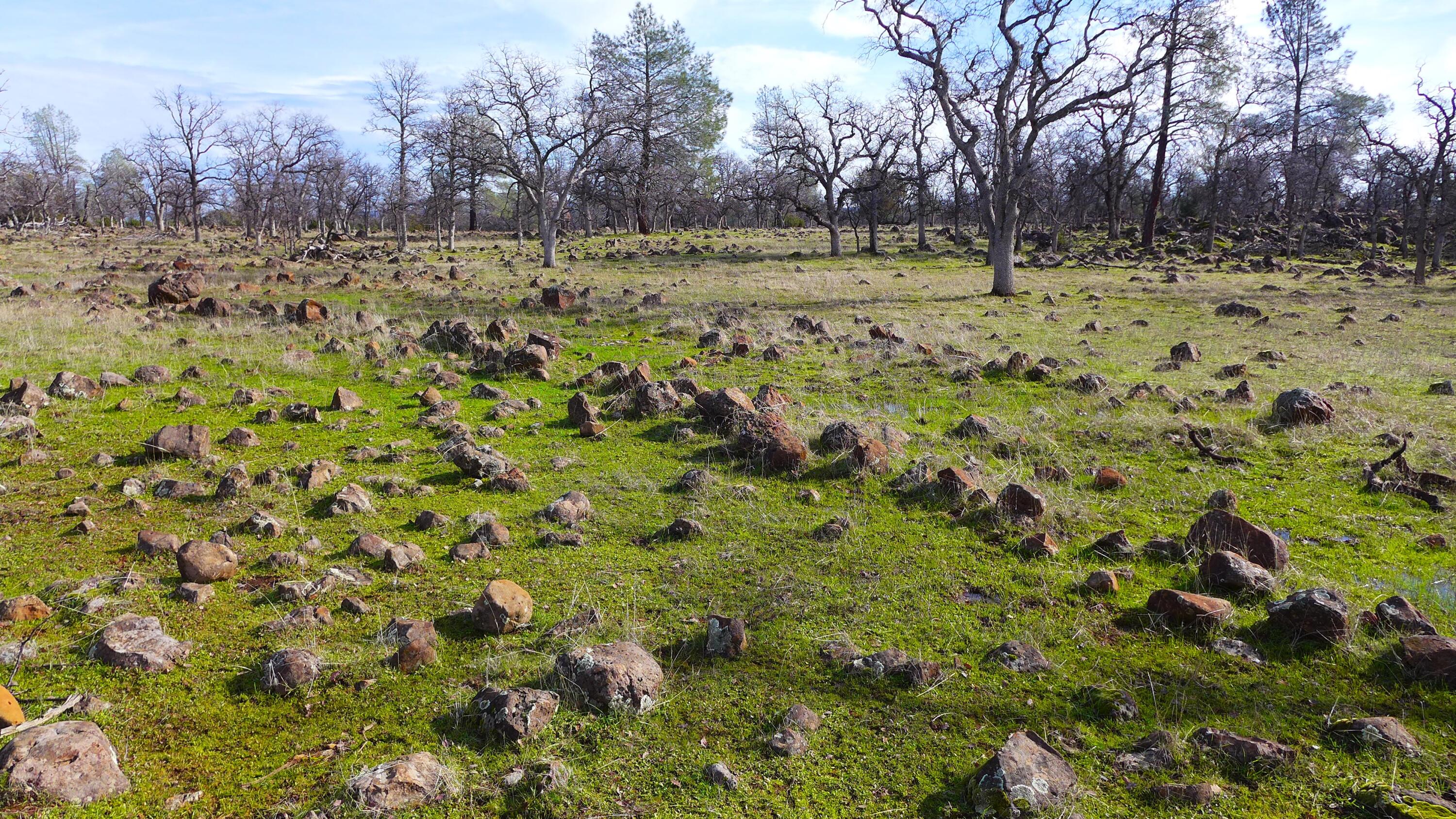 0 Ash Creek Road Anderson, CA 96007 - Photo 17 of 25 a view of outdoor space with trees
