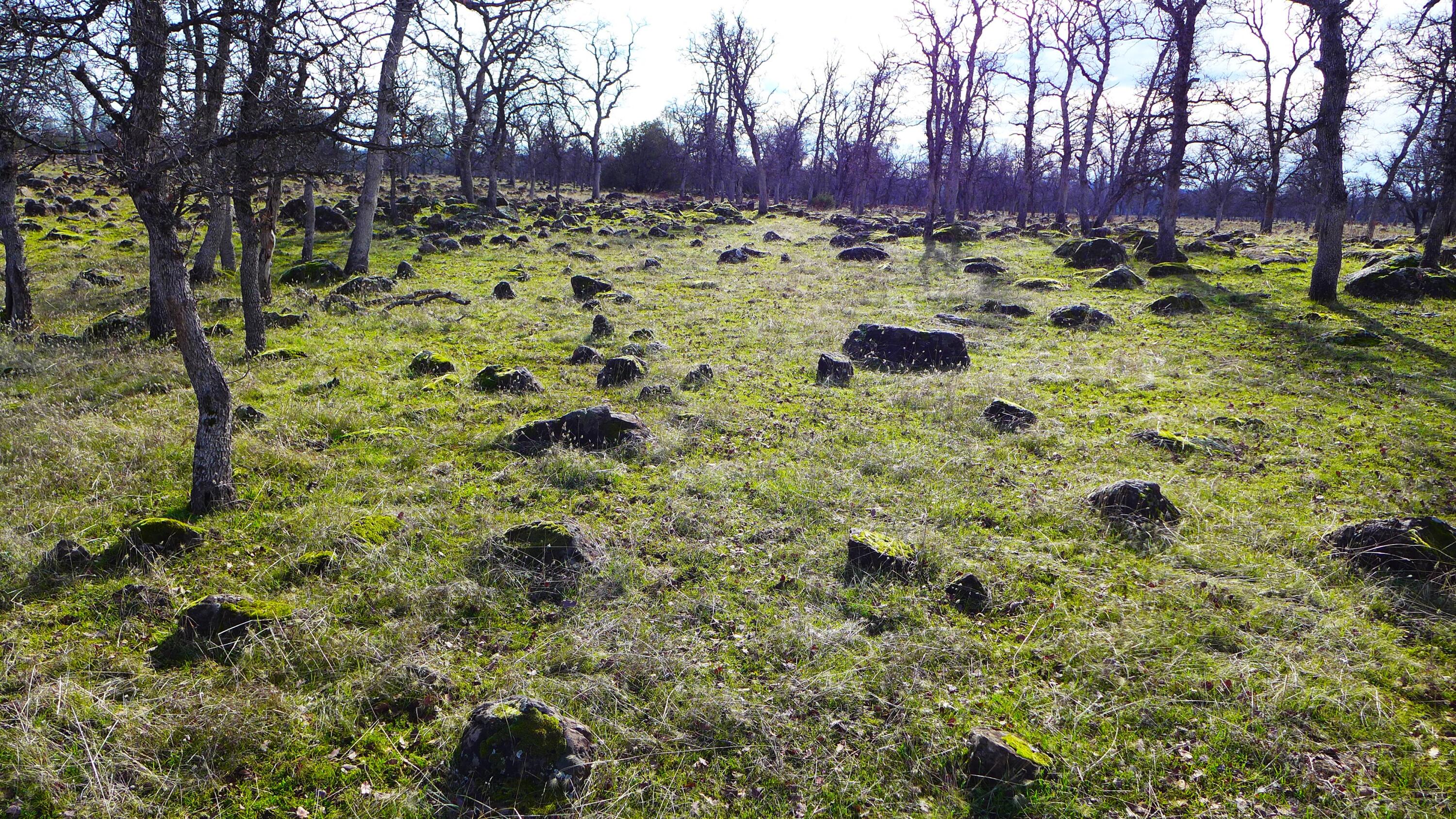 0 Ash Creek Road Anderson, CA 96007 - Photo 18 of 25 a view of a yard with plants