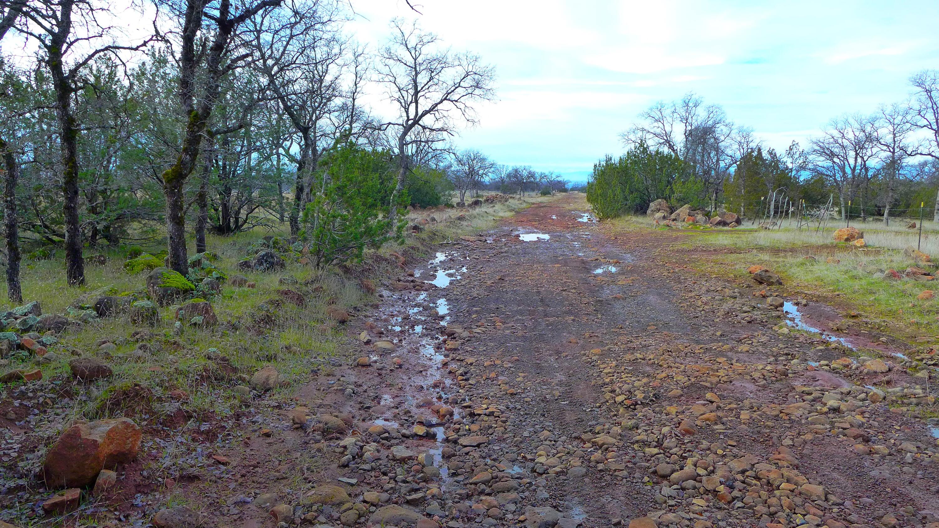0 Ash Creek Road Anderson, CA 96007 - Photo 20 of 25 a view of an outdoor space with trees