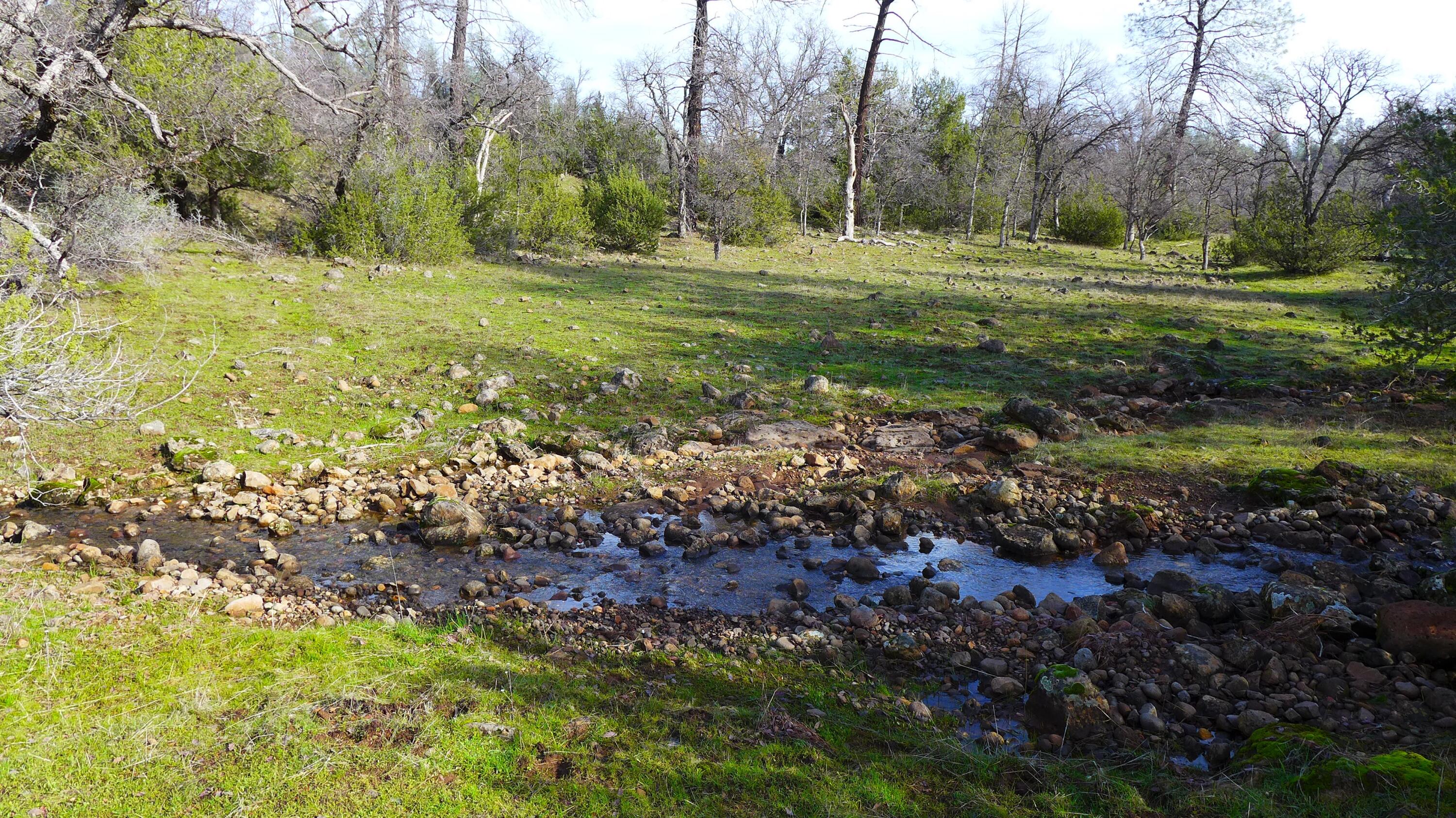 0 Ash Creek Road Anderson, CA 96007 - Photo 2 of 25 a view of a garden with trees