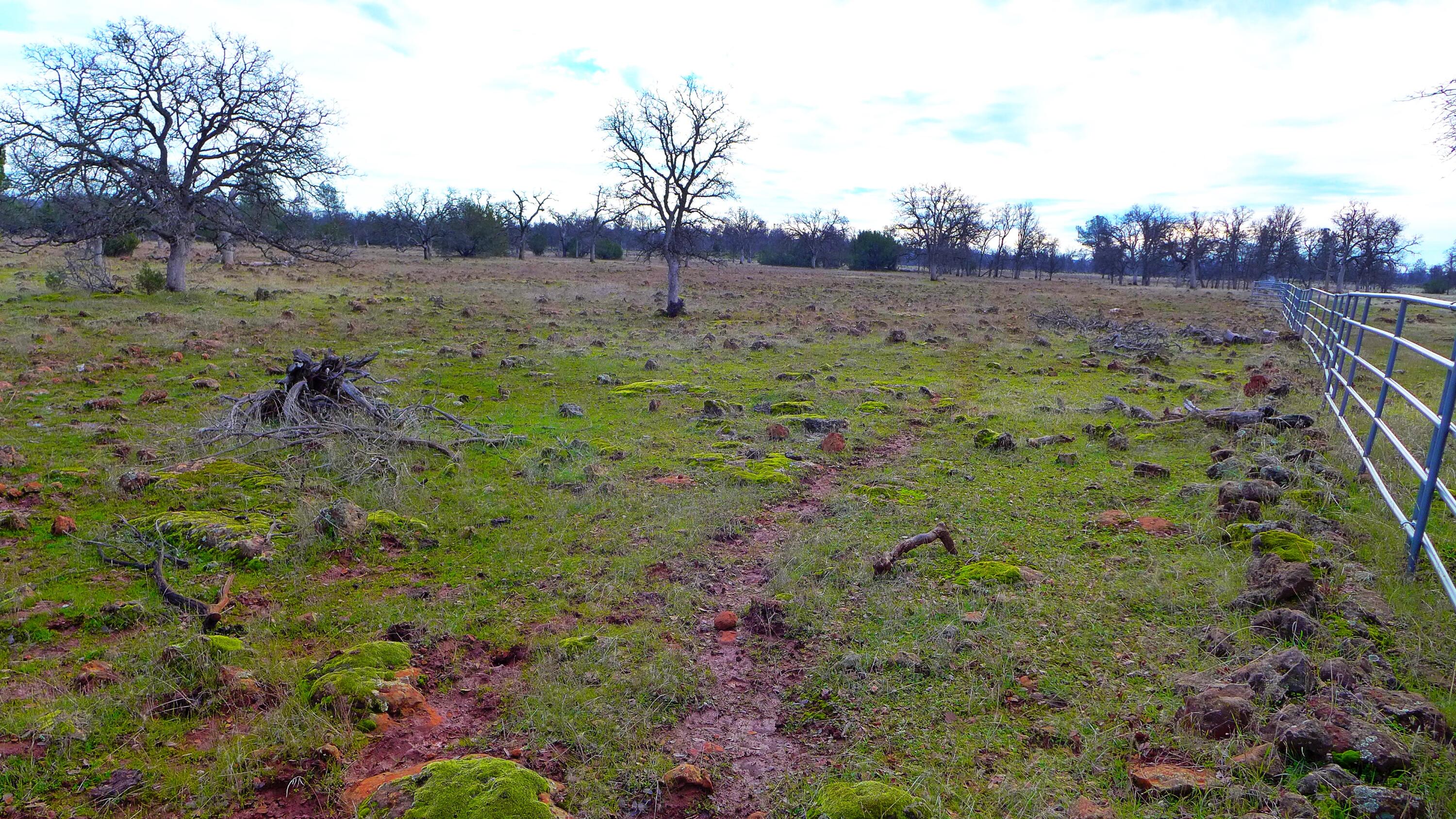0 Ash Creek Road Anderson, CA 96007 - Photo 21 of 25 a view of a lush green field
