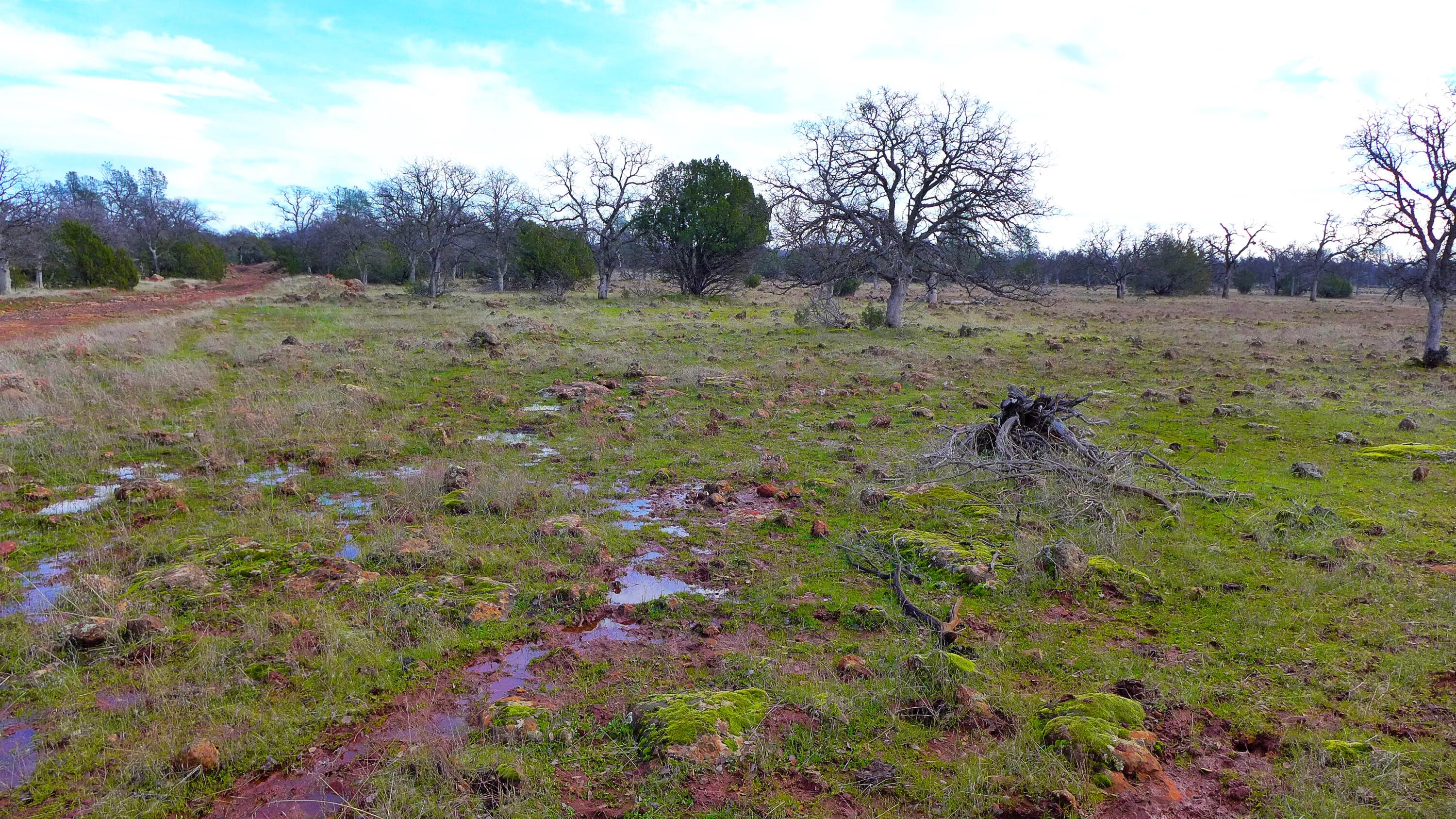0 Ash Creek Road Anderson, CA 96007 - Photo 22 of 25 a view of a lush green forest with lots of trees