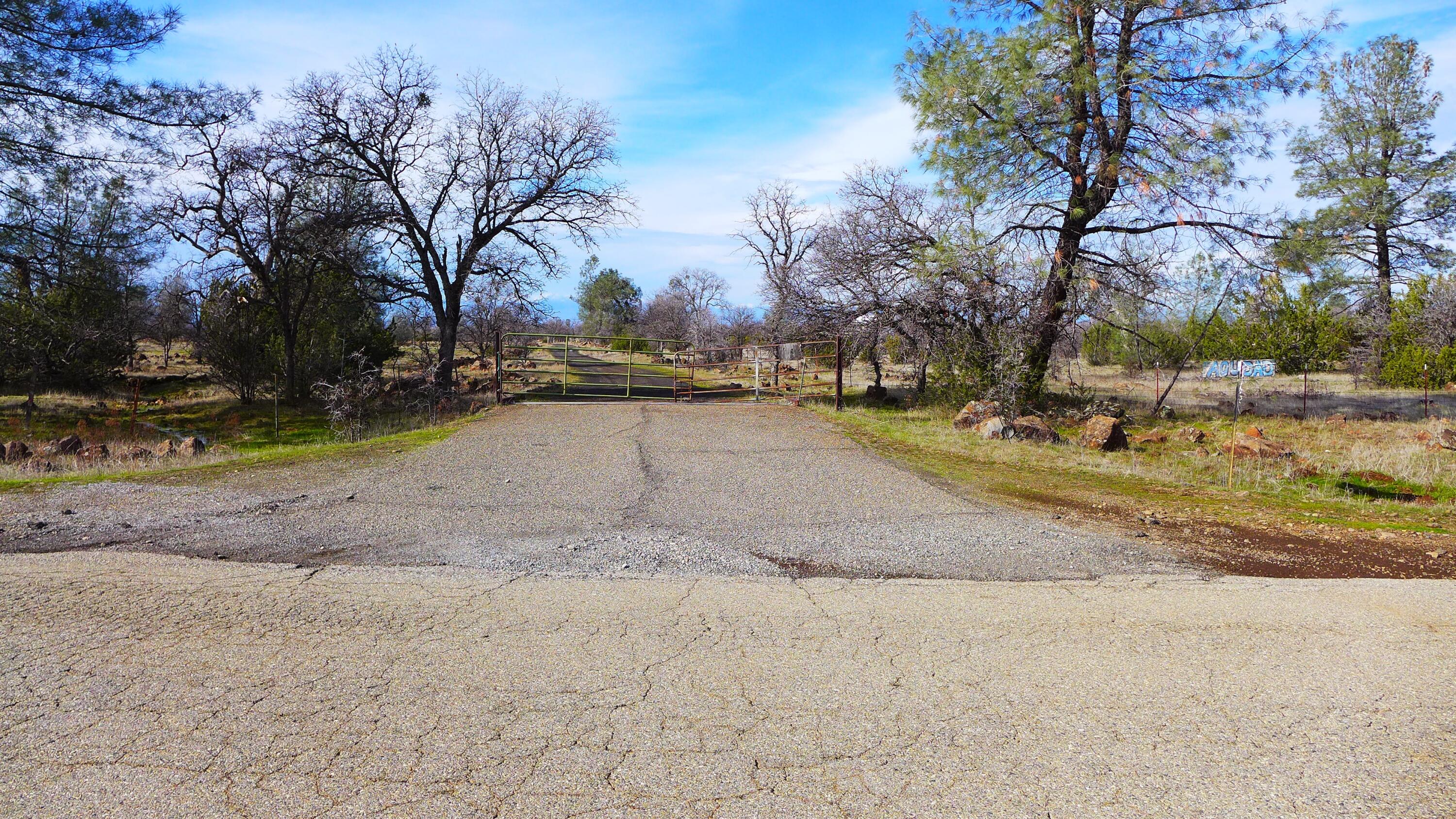 0 Ash Creek Road Anderson, CA 96007 - Photo 23 of 25 a view of a yard with trees