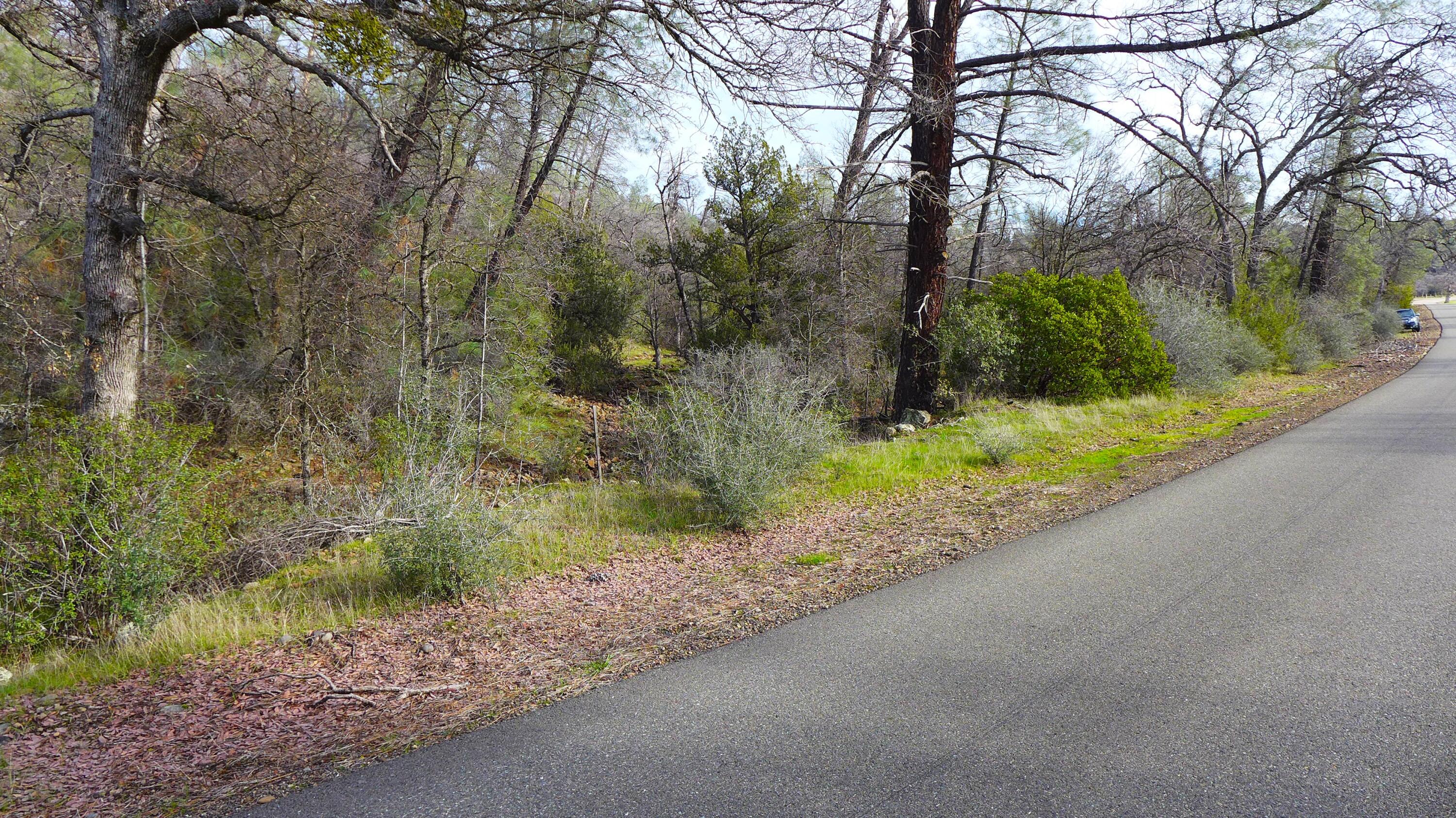 0 Ash Creek Road Anderson, CA 96007 - Photo 10 of 25 a view of a yard with a fountain