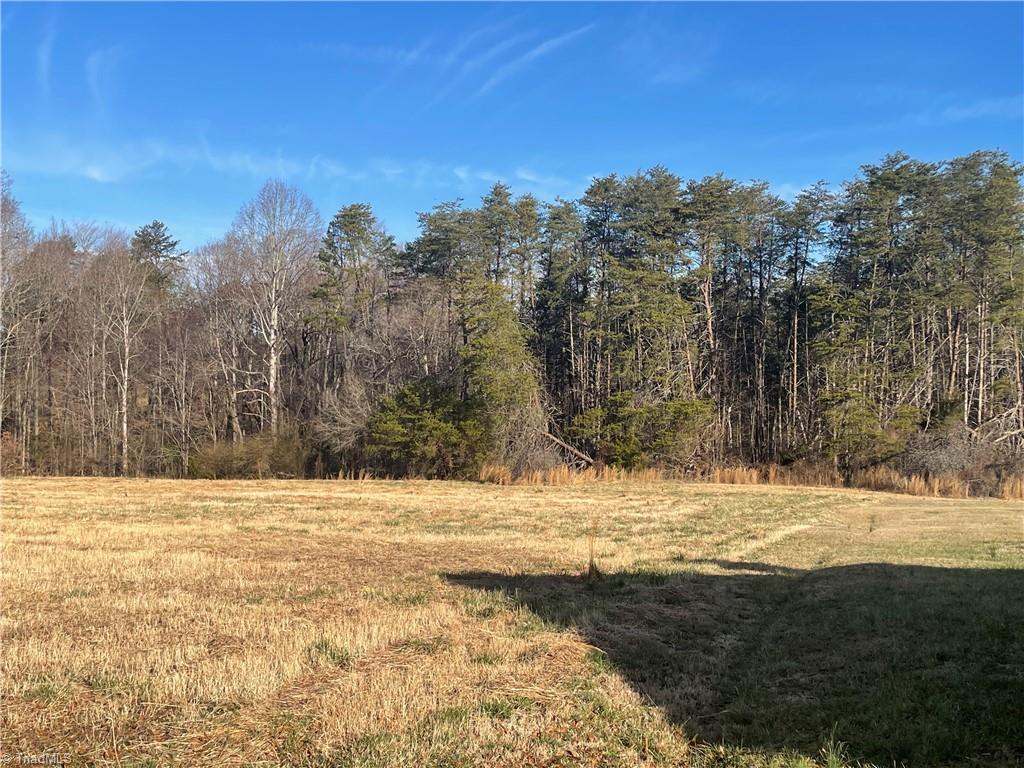 Lot 103 Hedgecock Road High Point, NC 27265 - Photo 1 of 3 Gallery Image 1